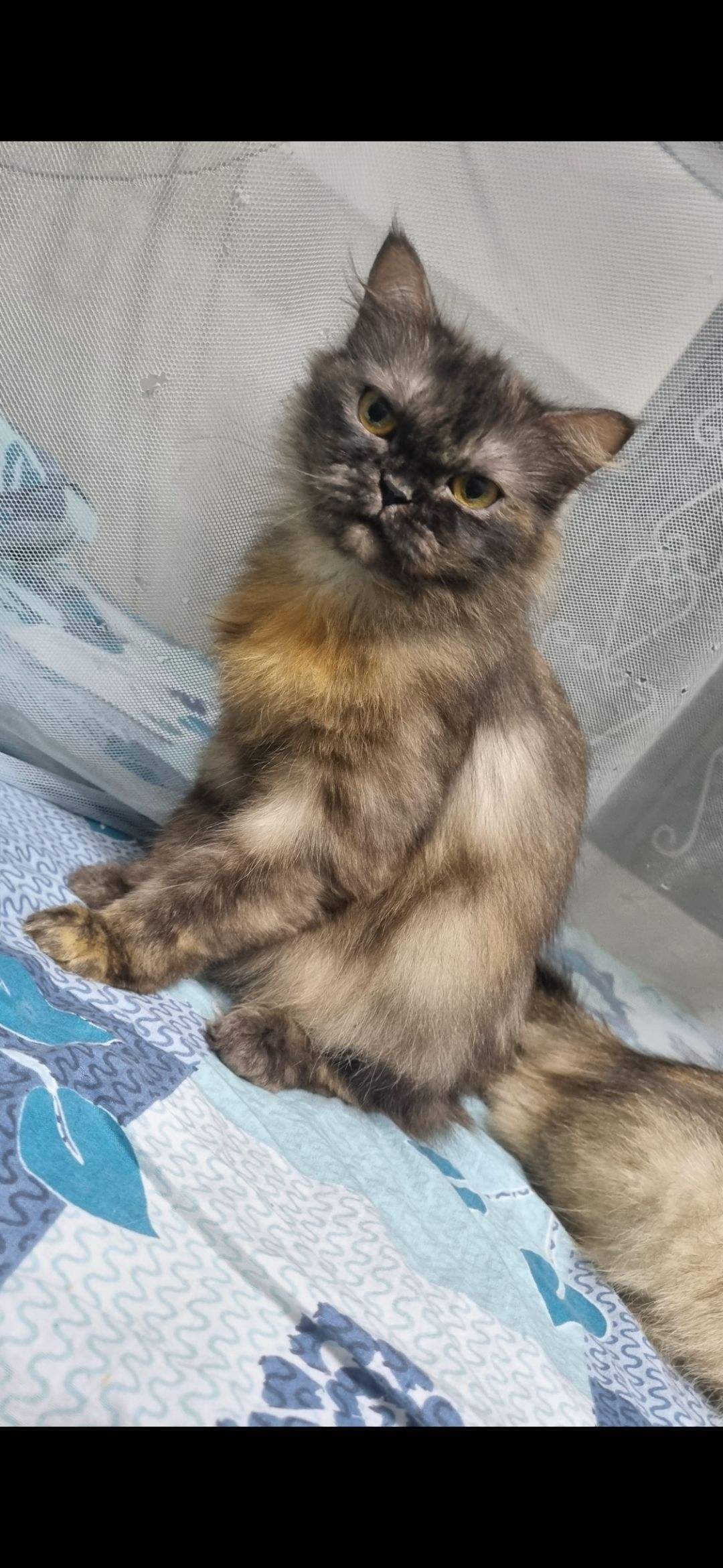 Linda - Poolakadavu Road, Kozhikode