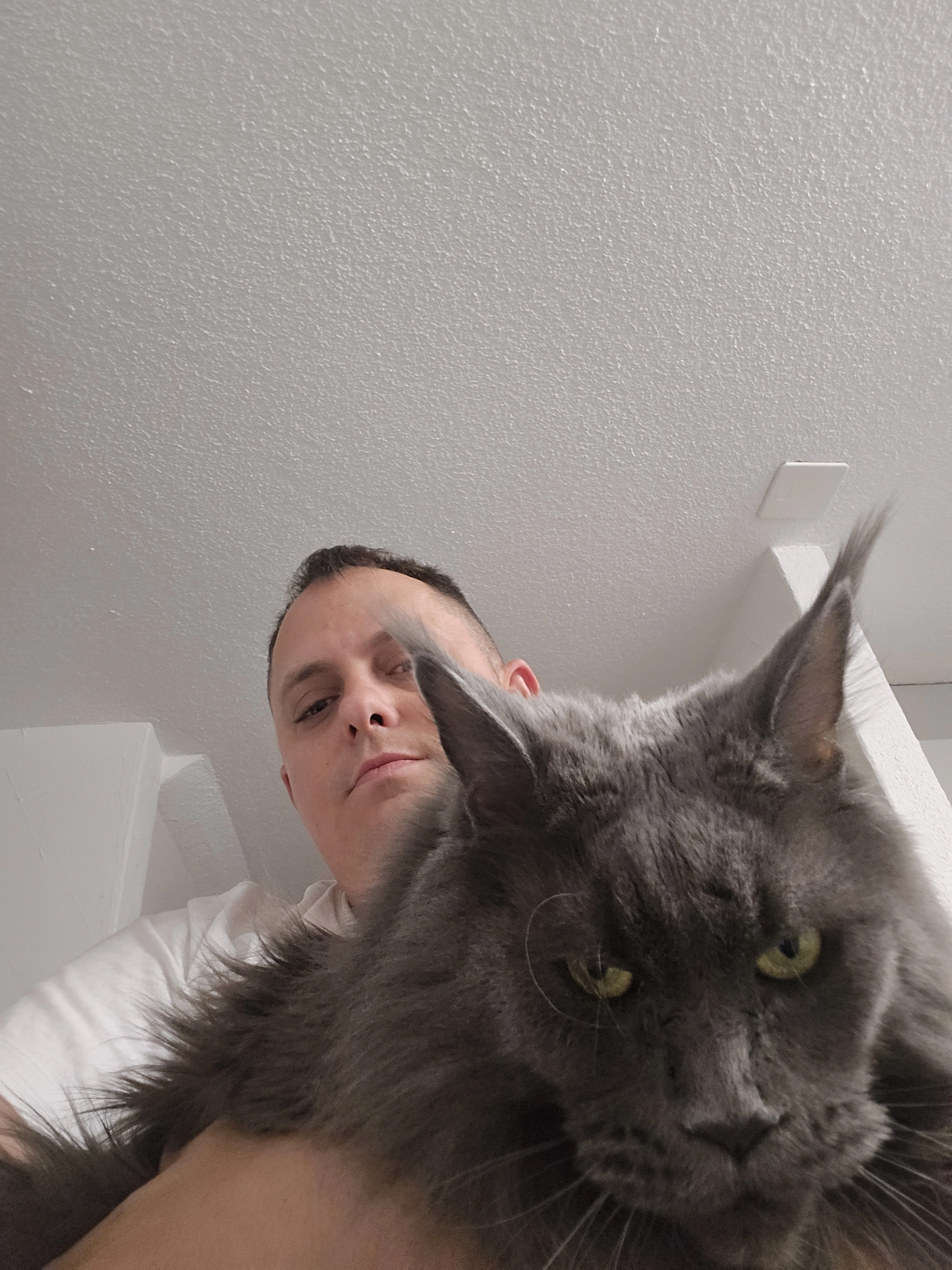 Bella - Nauengasse, Rorbas