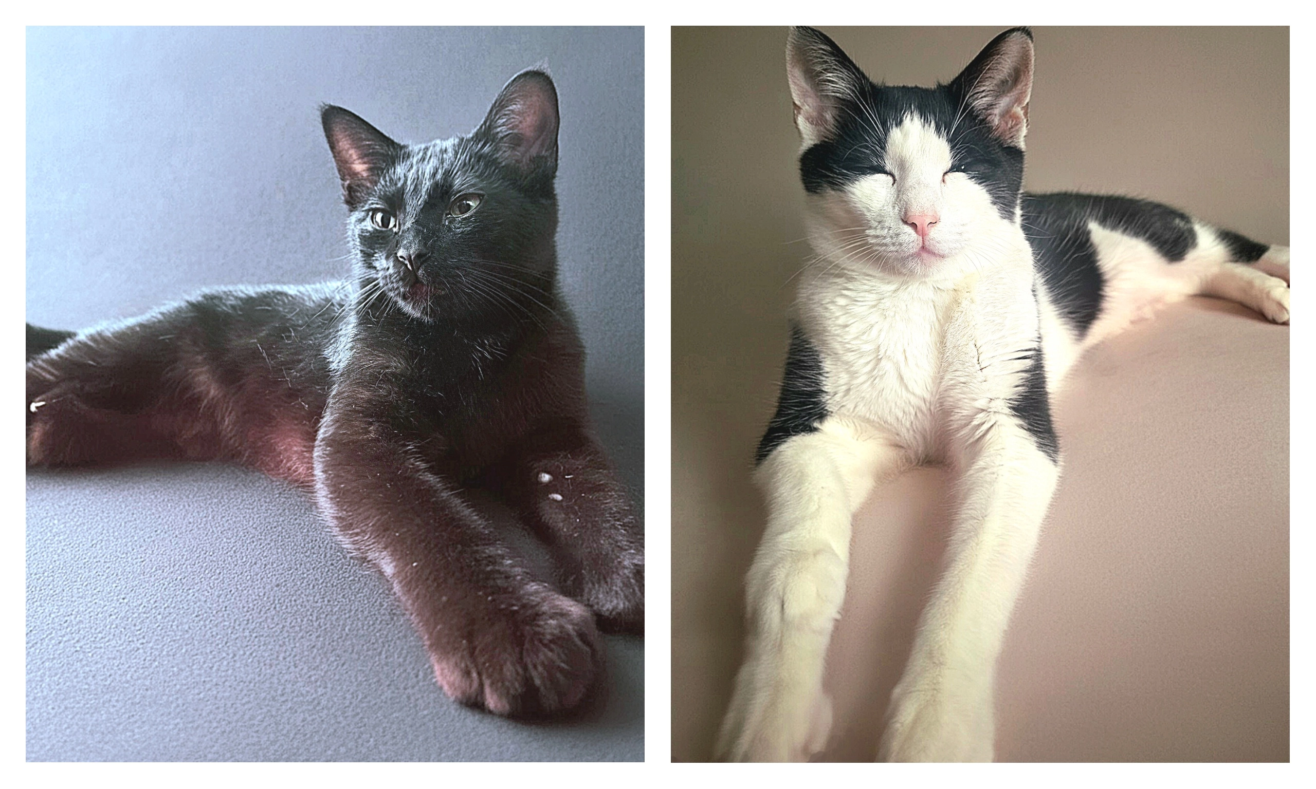 Teo - Mount Road, Manchester