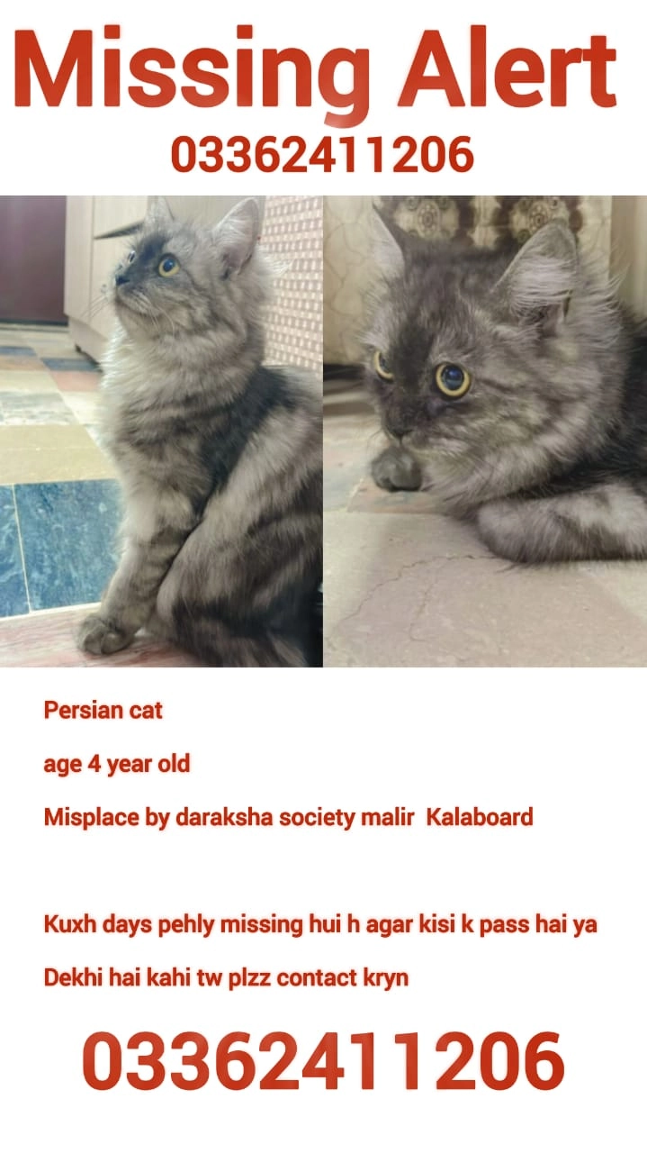 Luna - Model Colony, Karachi