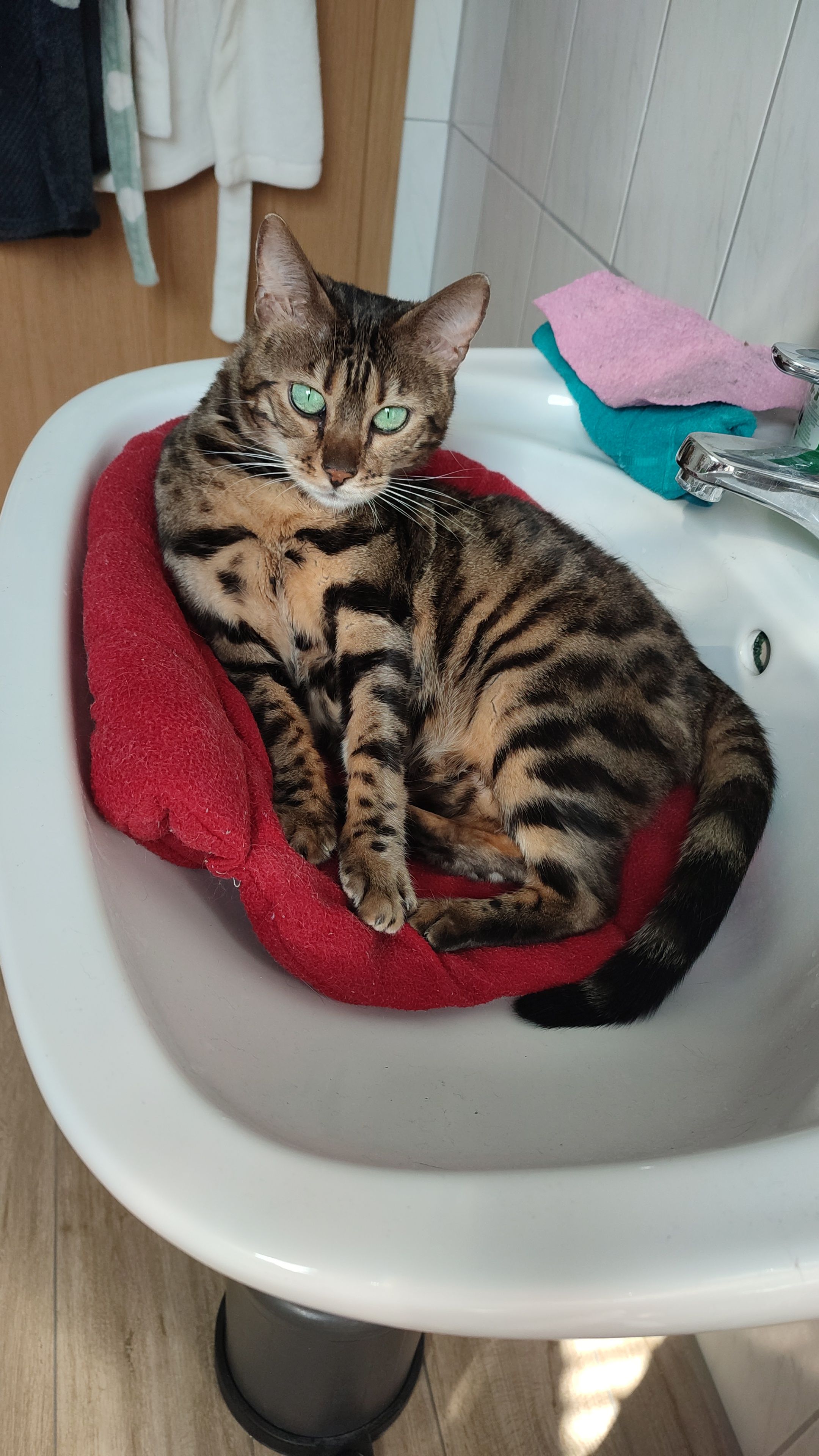 Luna - Wellucker Straße, Auerbach in der Oberpfalz