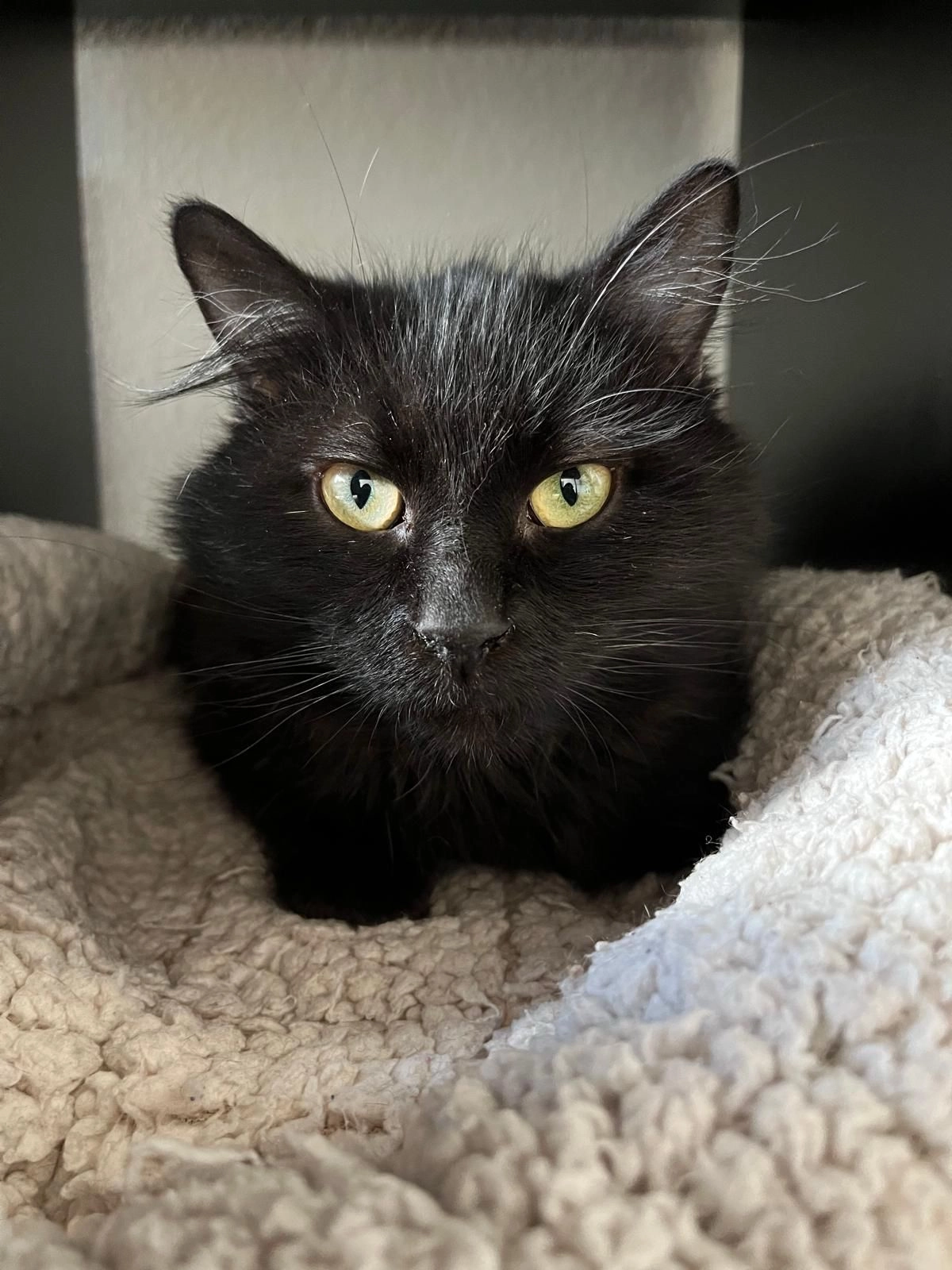 Taffy - Am Wenzeler, Machtum