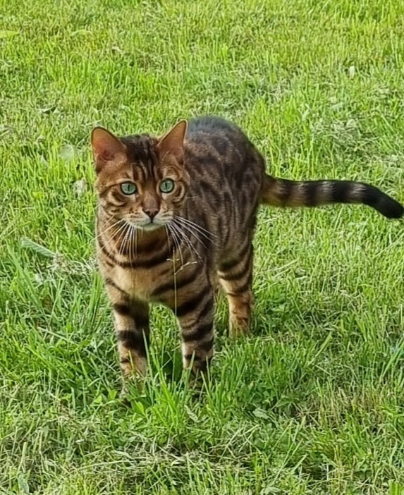 Money - Rüfistrasse, Mollis