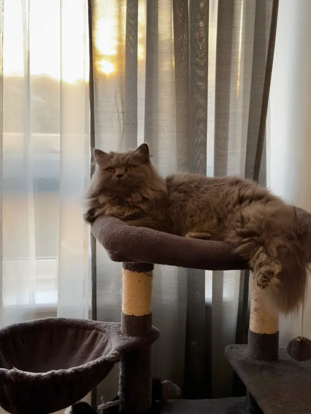 Luna - UB5 5, Northolt