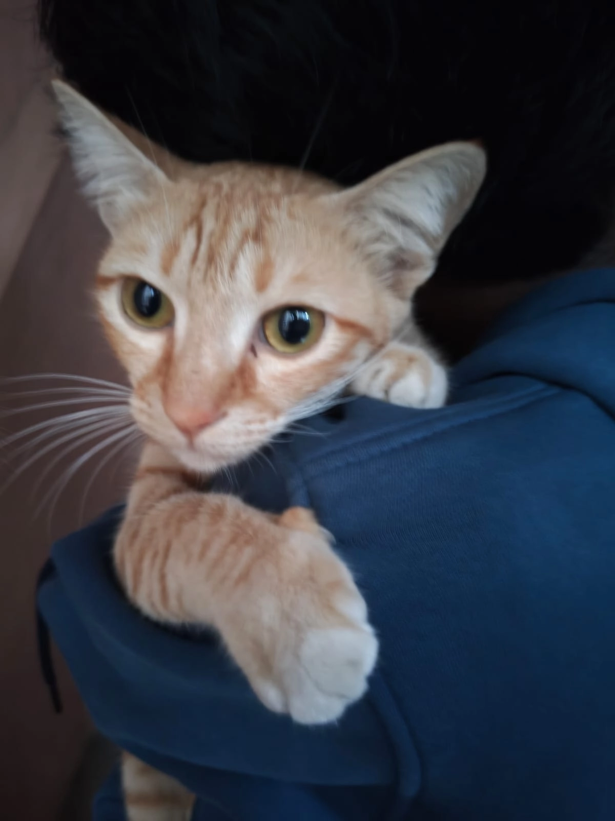 ratnamaru - 2nd Main Road, Bengaluru