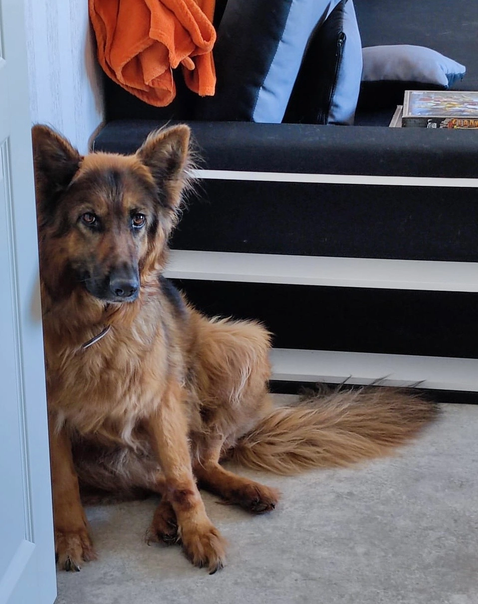 Vesta - Kylmäsuonkatu 4, Tampere