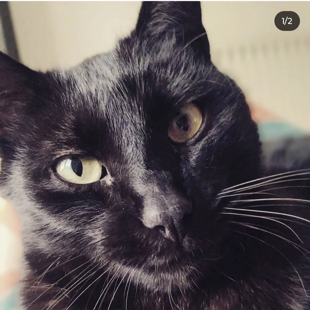 Nube - Baixada Castreliños 5, Vigo