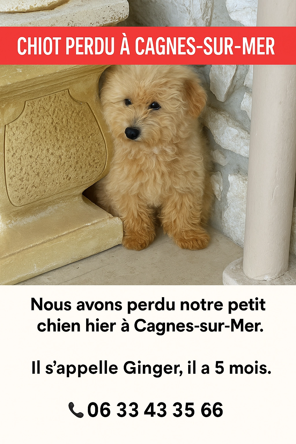 Ginger - Rue Maurice Rostand, Cagnes-sur-Mer