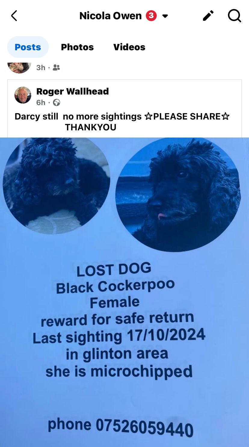 Darcy - Werrington Bridge Road, Peterborough