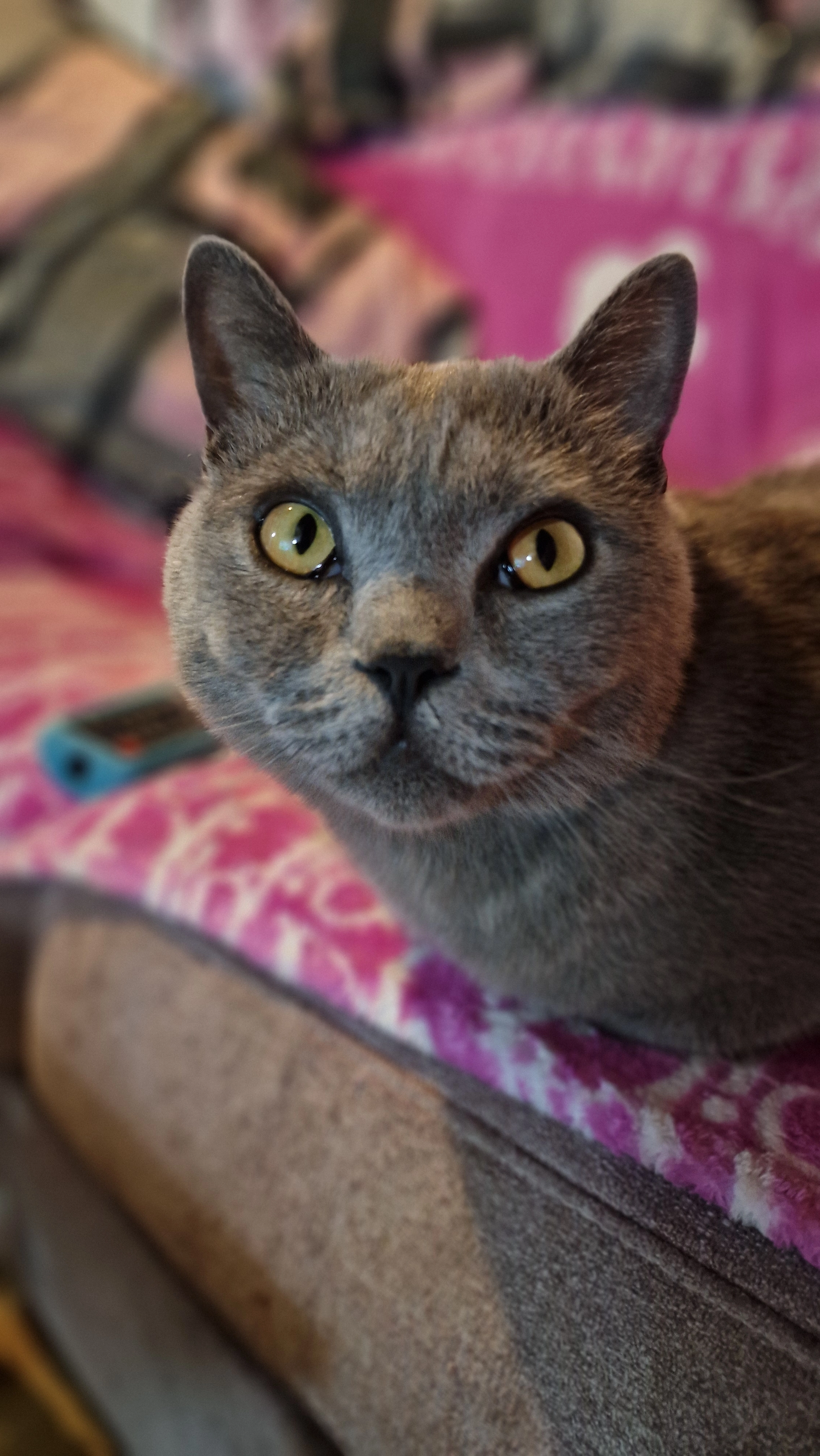 Jony - Marienburger Straße, Ravensburg