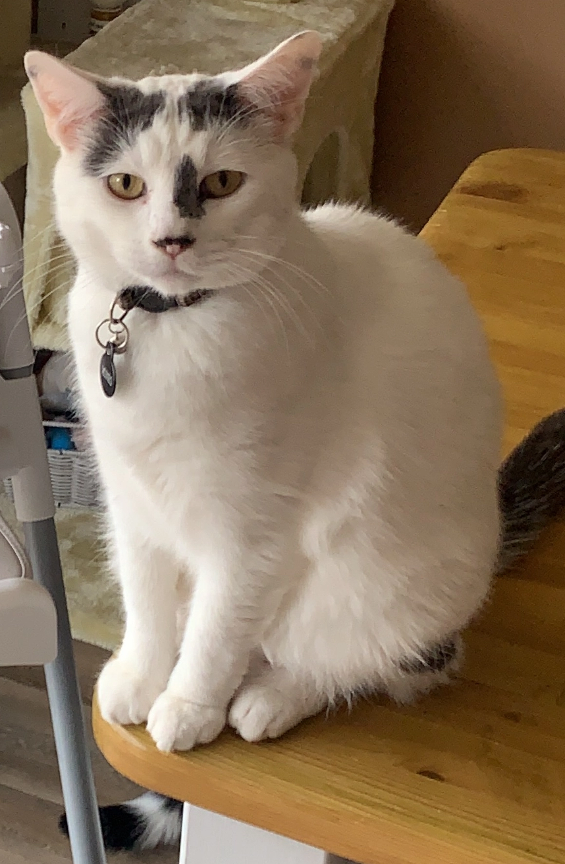 Dereck - Guan Road, Gloucester