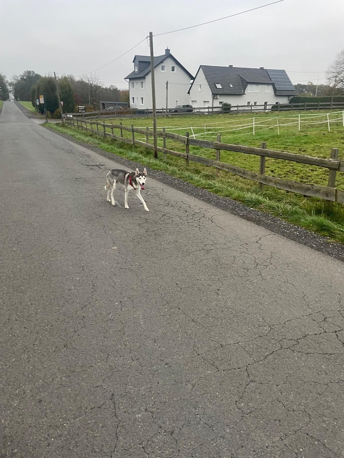 gino - Damaschkestraße, Arnsberg