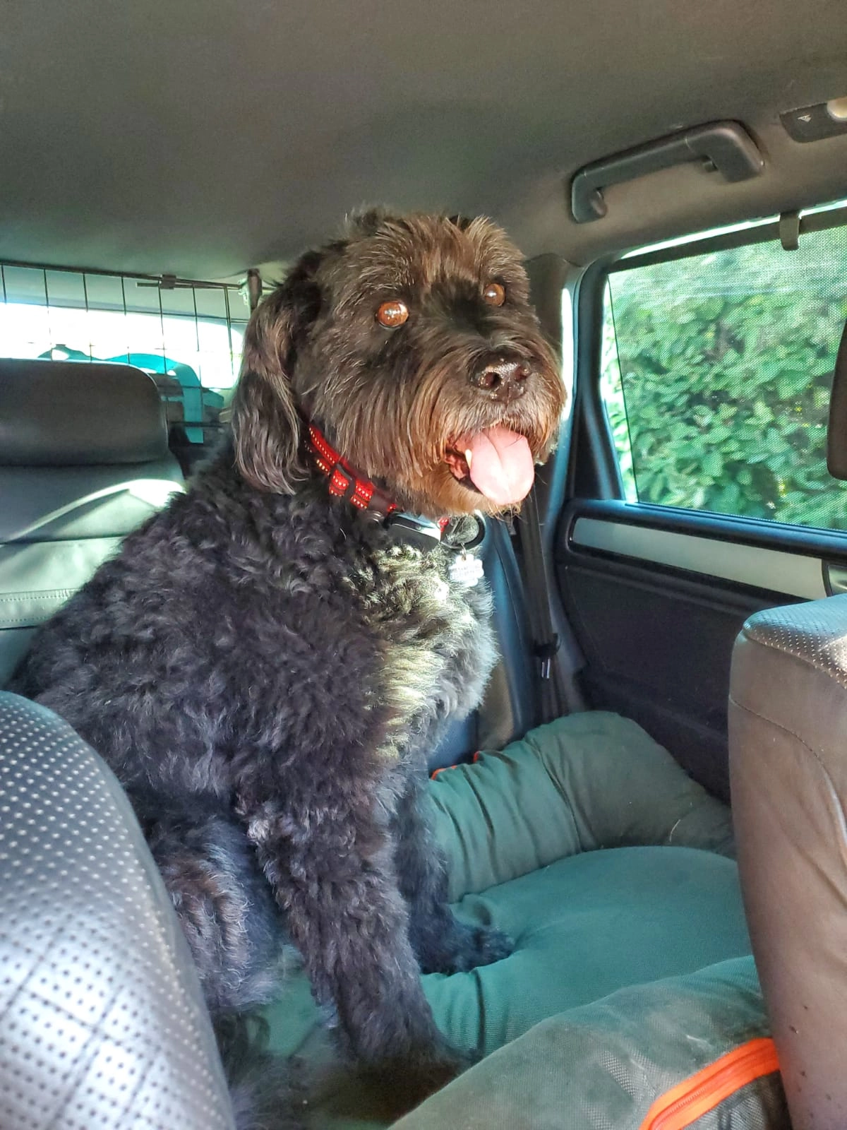Fred - Route Des Nénuphars, Campagnac-lès-Quercy