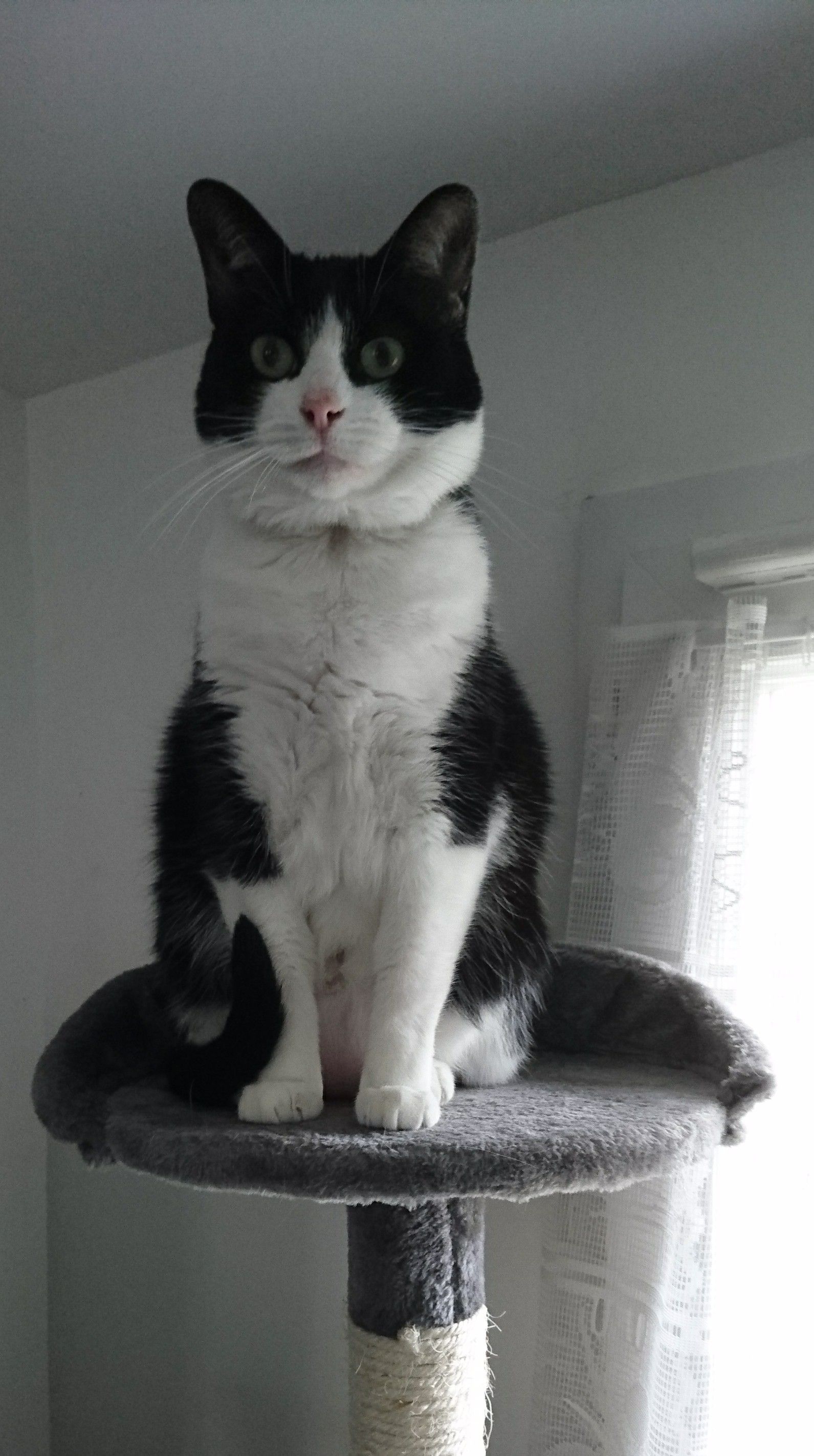 Meïa - 42 Rue de Crèvecœur, Breteuil