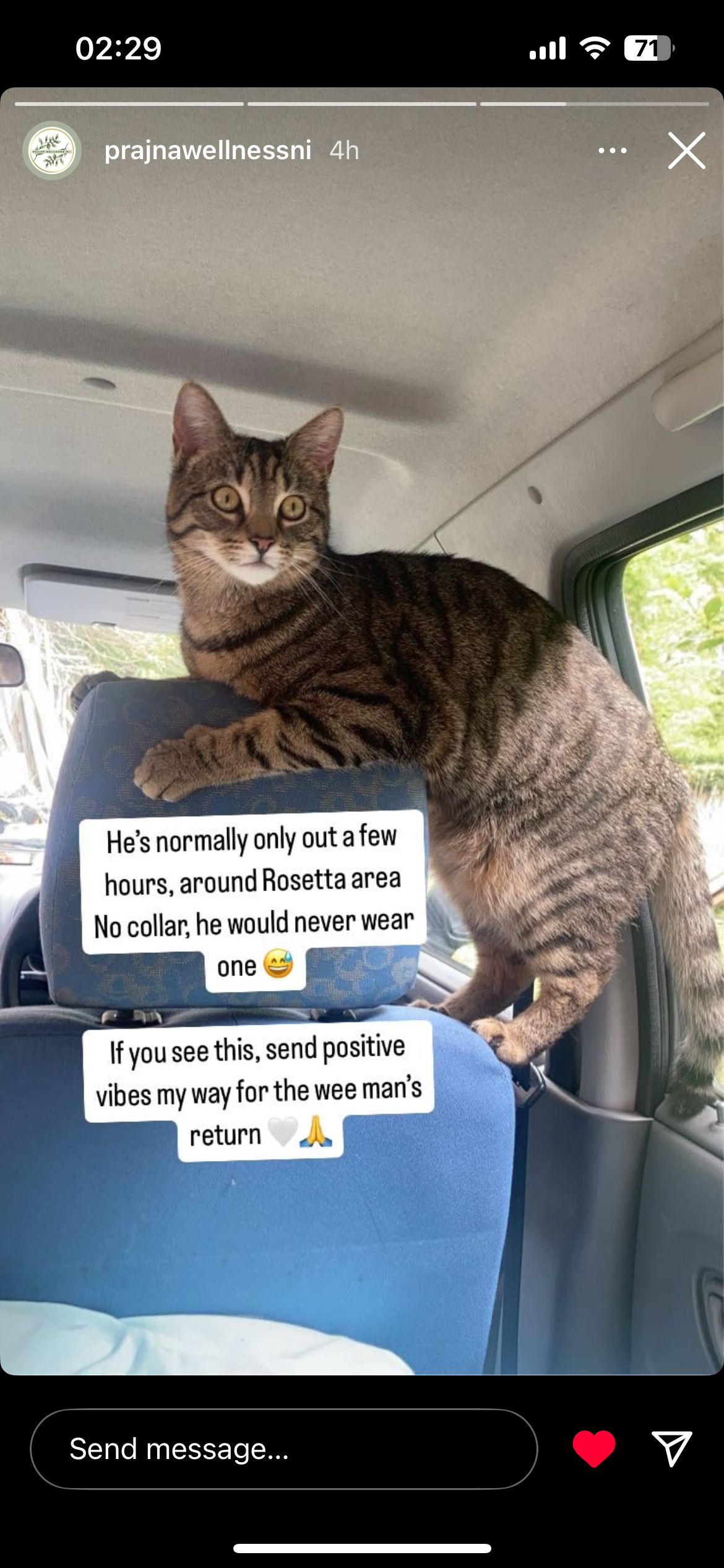 Umi Mckeown  - 8A Rosetta Park, Belfast