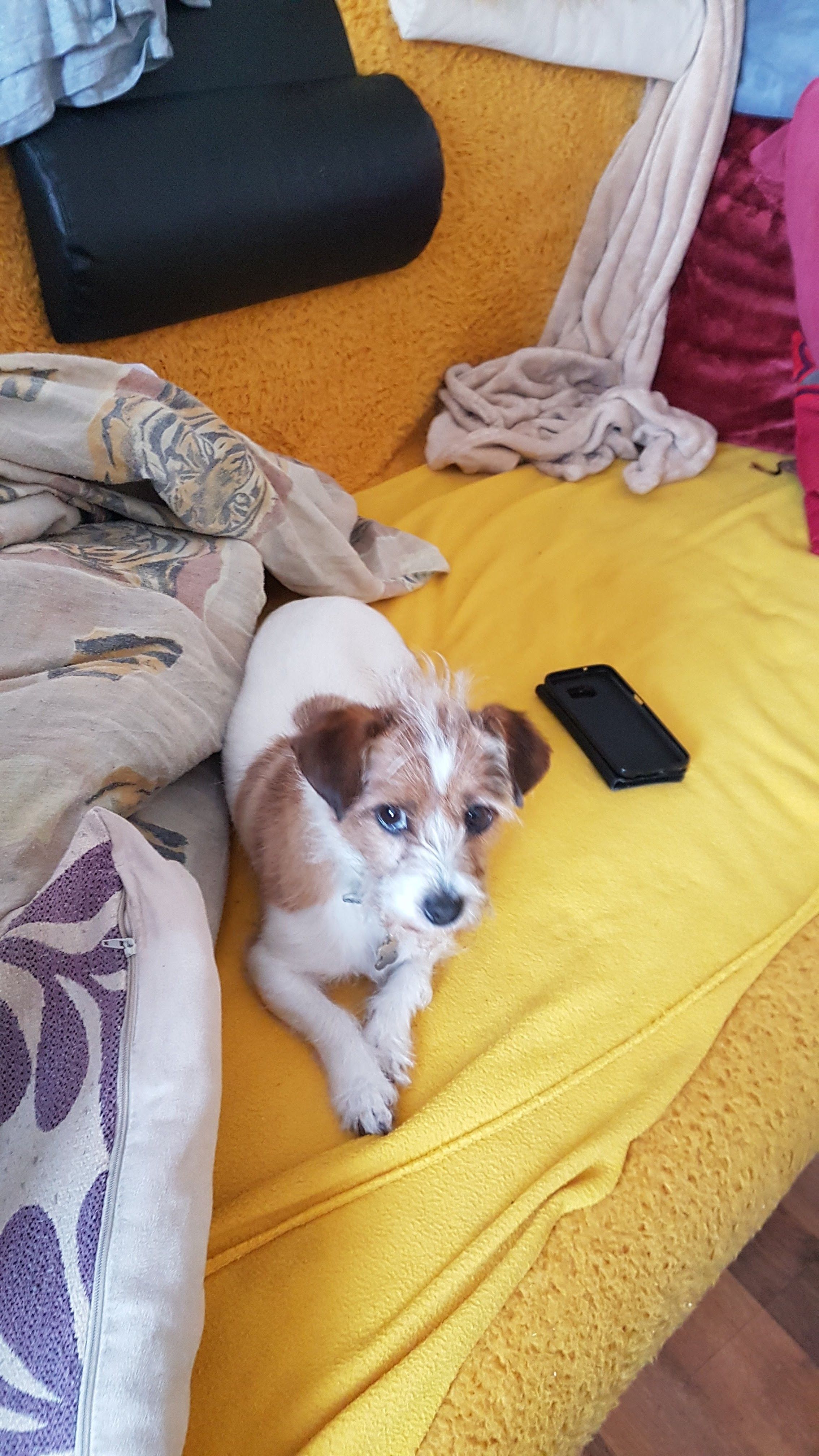 Niki - 32 Wheatley Street, Birmingham