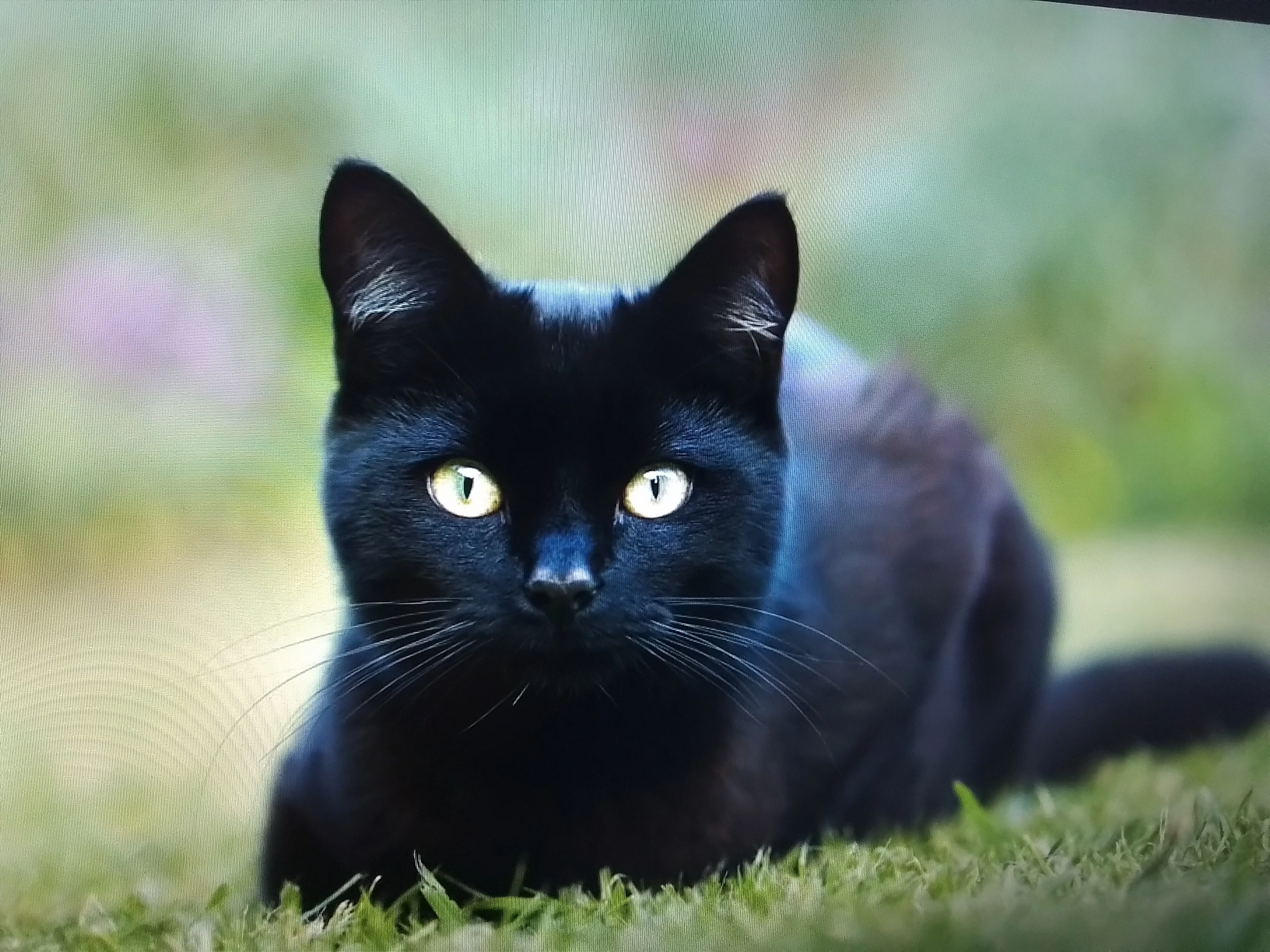 Tàquito - Von-Oer-Straße, Oelde