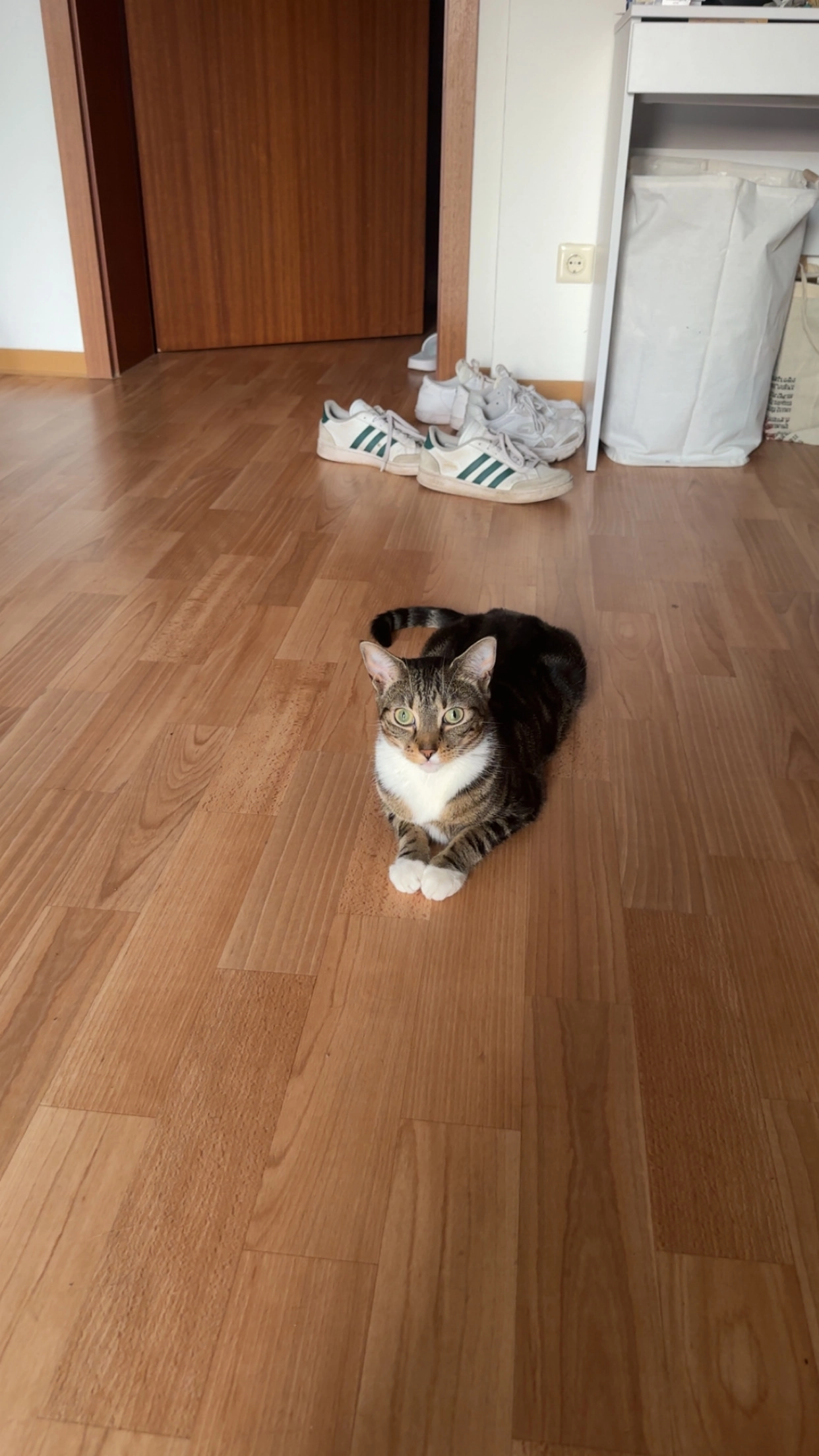 Luna - Ludwigstraße, Köthen