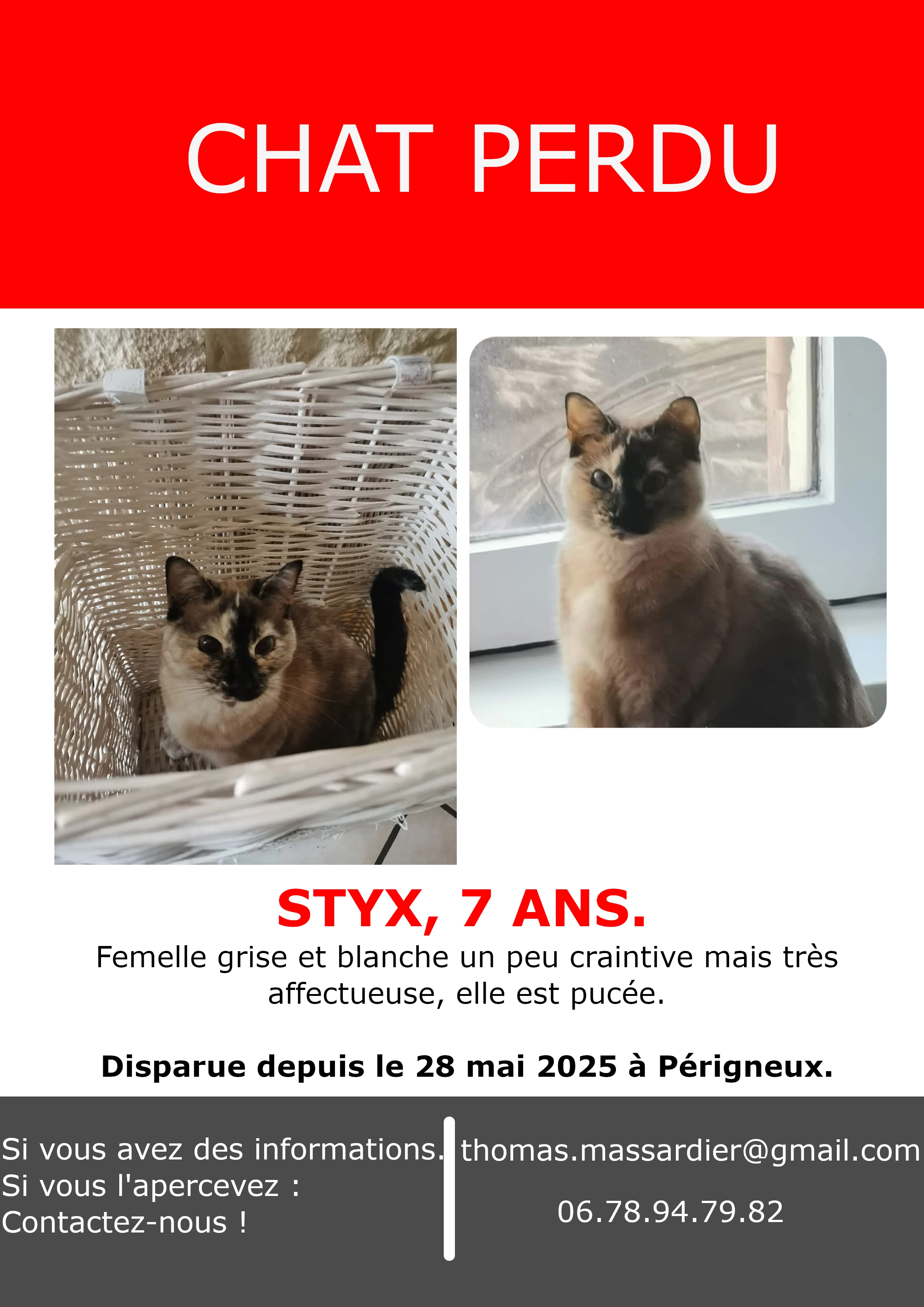 Styx - Route De Saint-Maurice-En-Gourgois, Périgneux