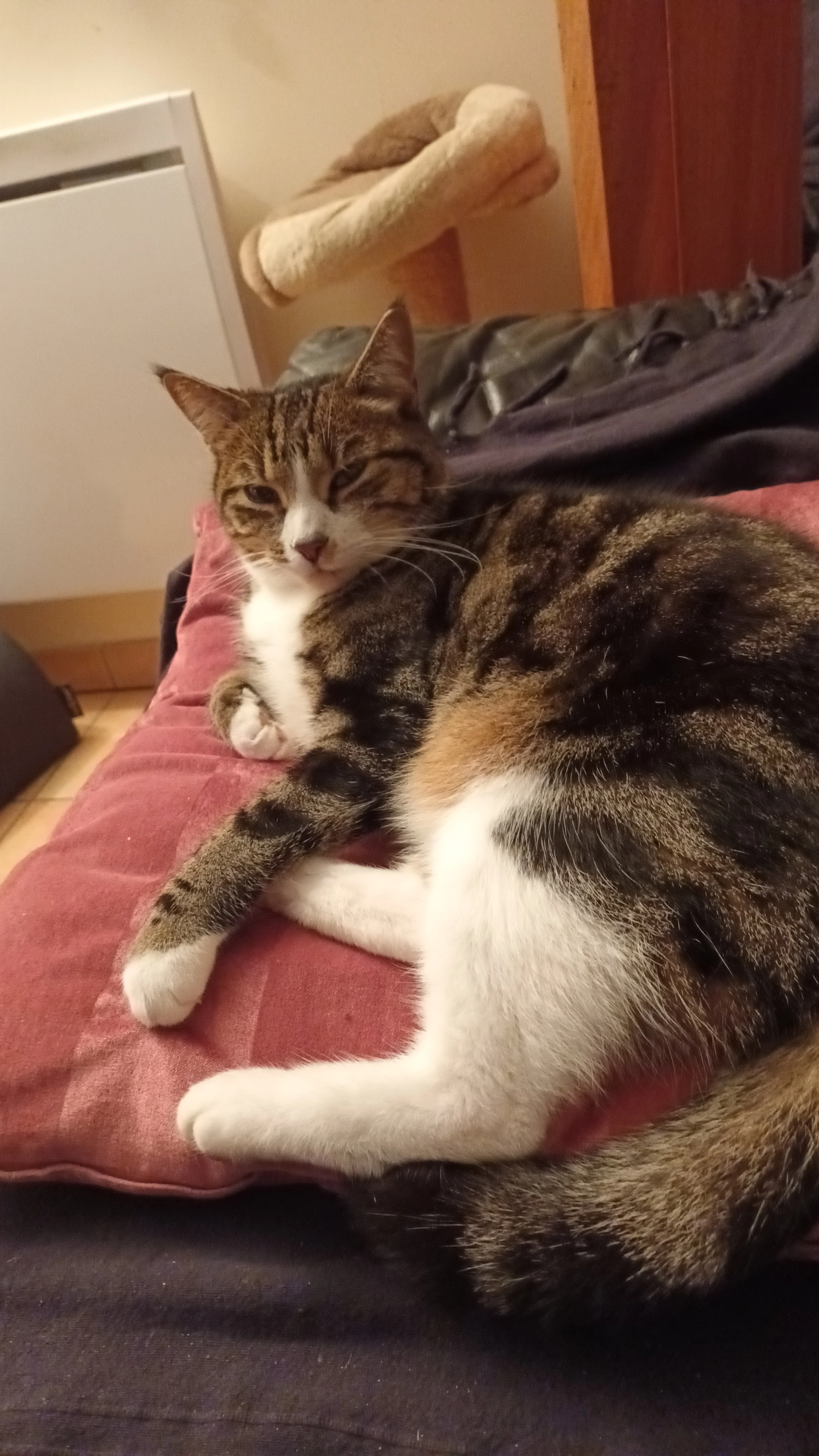 Oggy - Route des Tournesols, Sainte-Blandine