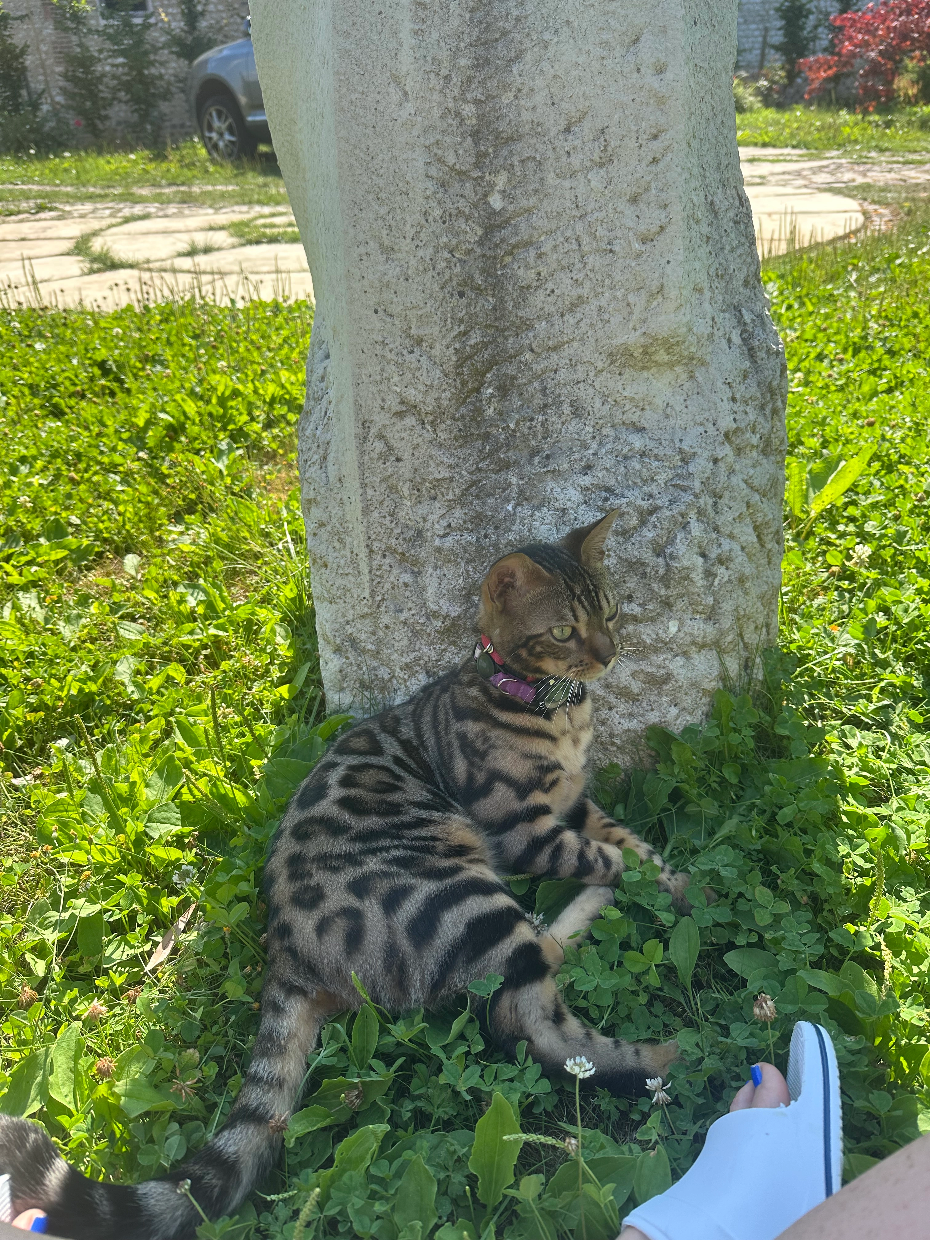 Edmond - 14 Rue Nationale, Muids