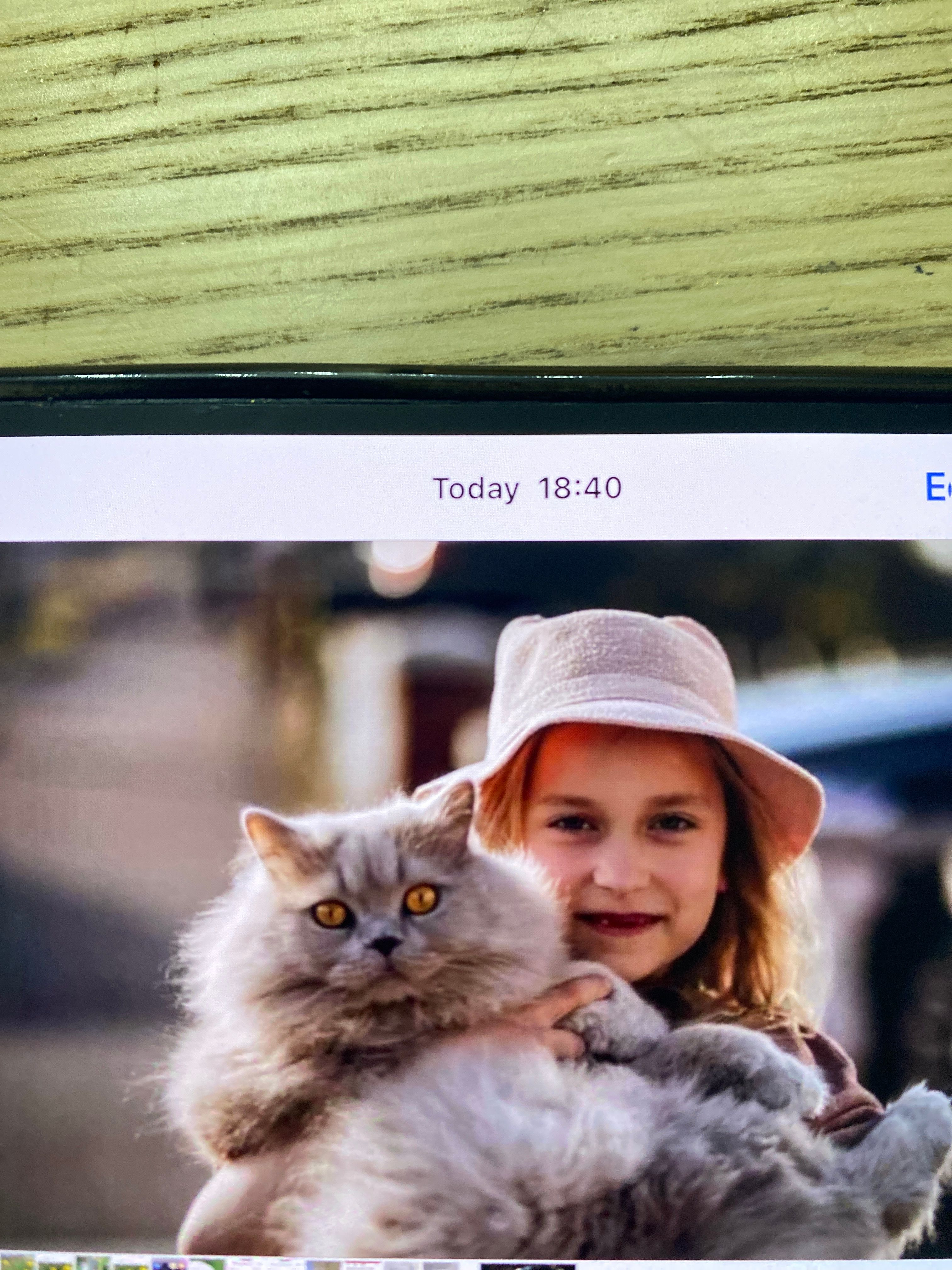 Mitty  - 87 Silverlawn, Navan