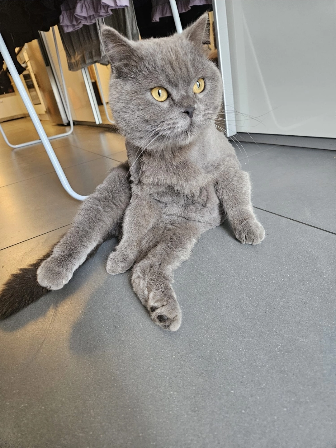 Jasper - Josef-Albert-Winter-Straße 22A, Vöcklabruck