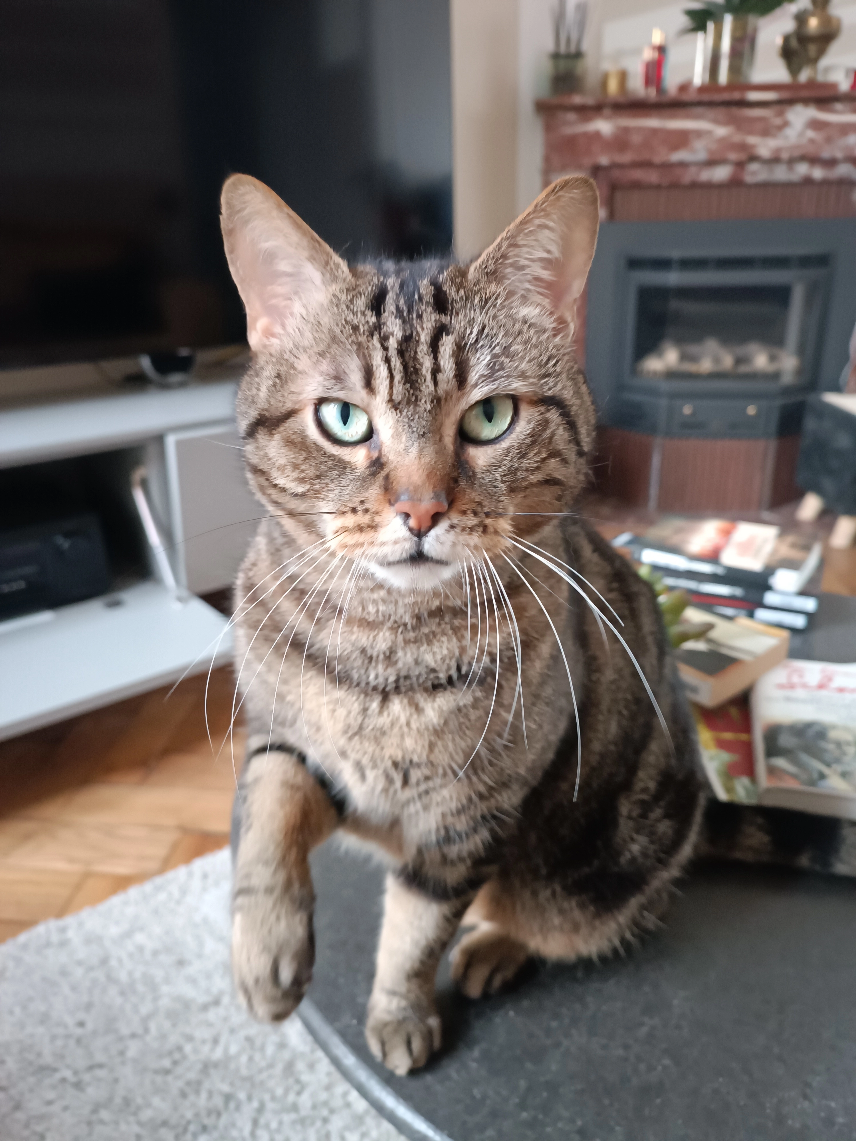 Chafou - Rue Casimir Delavigne, Lille