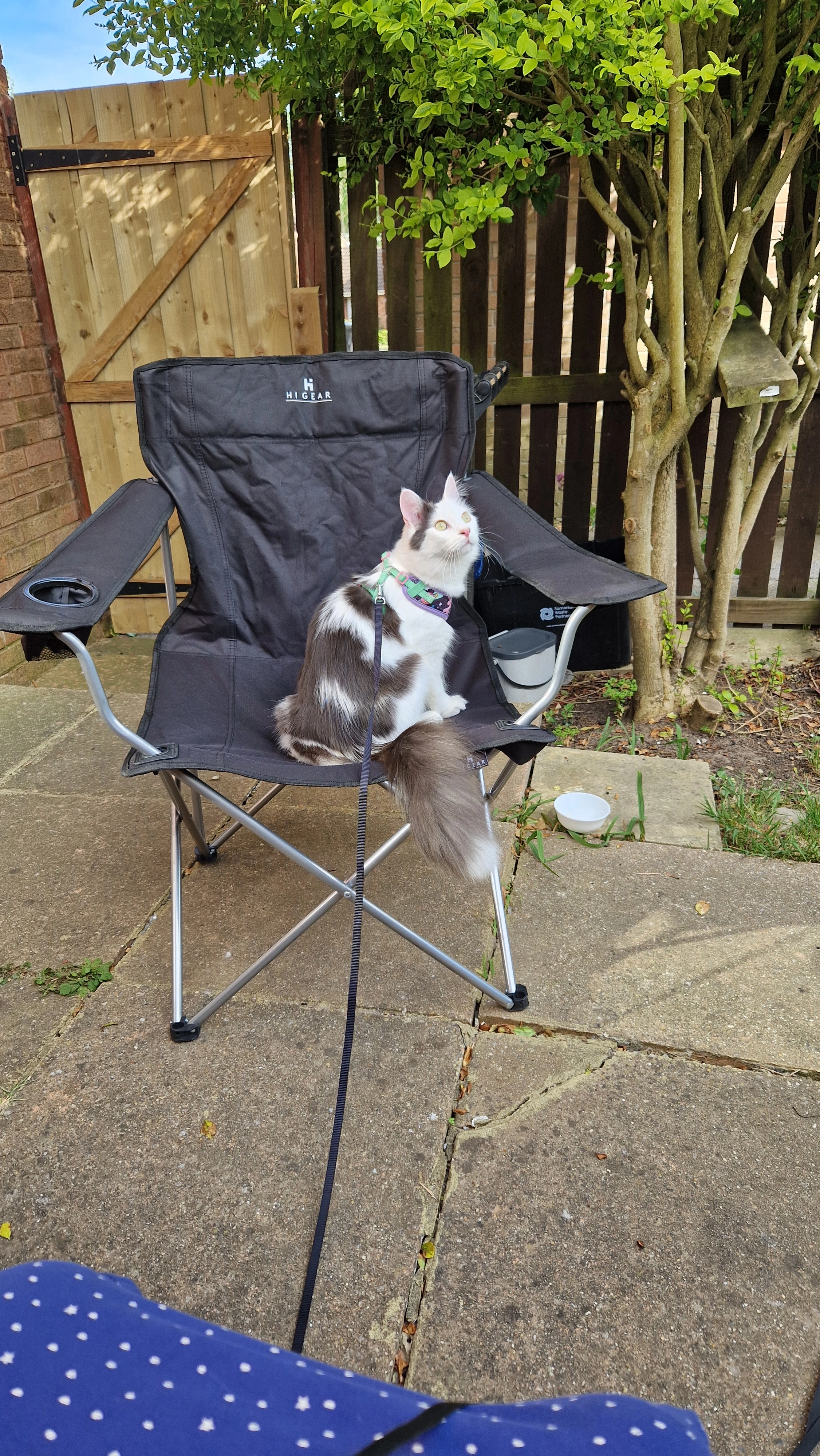 Venum - Whatcombe Road, Frome