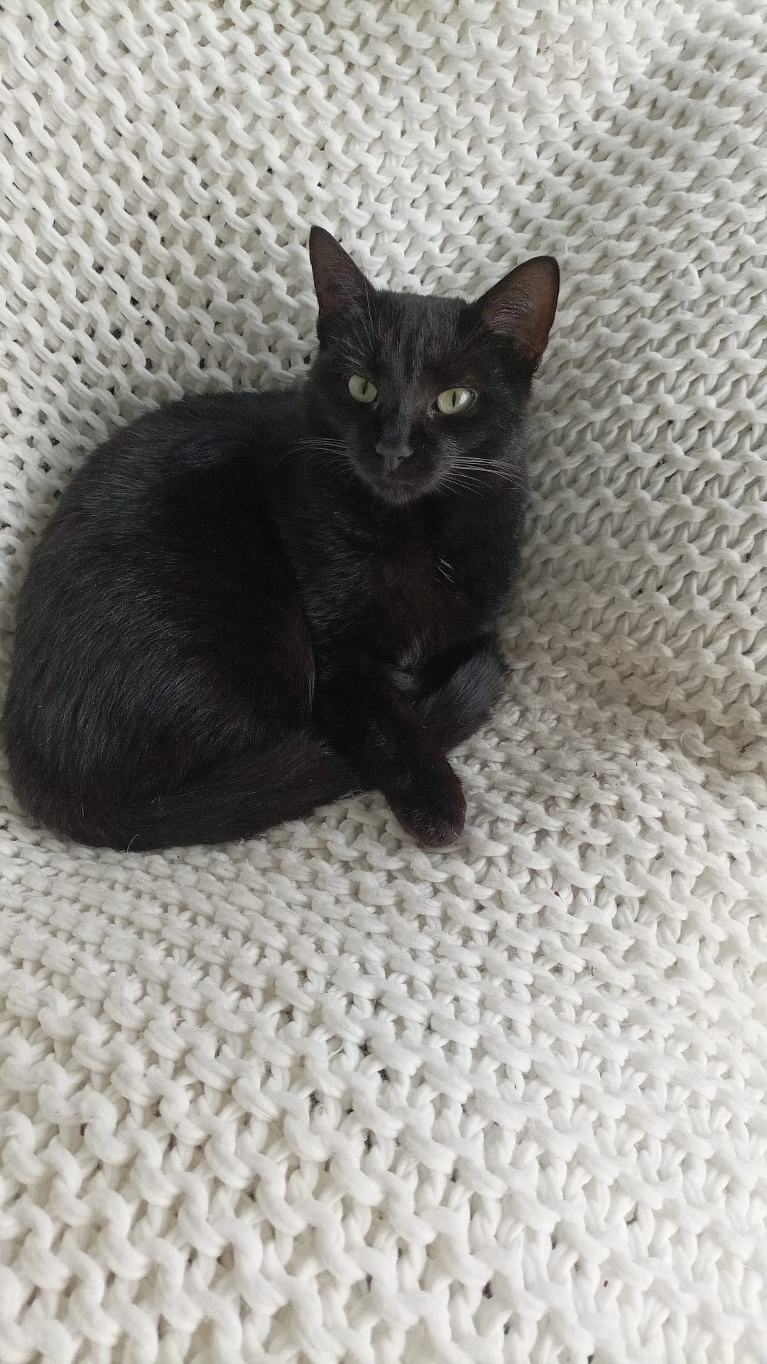 Nala - Christegässli 11, Rafz