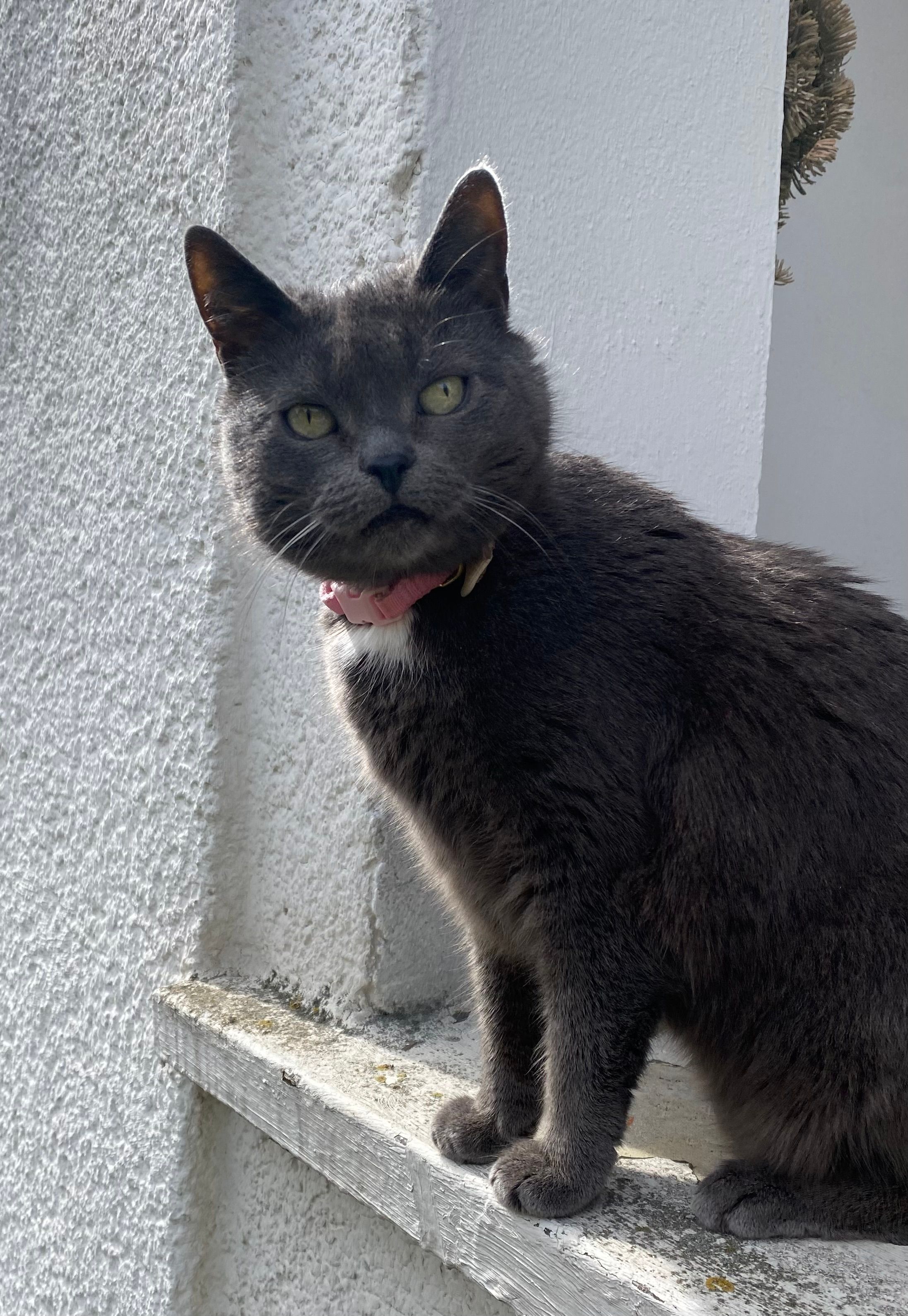 Inge  - Spechsart, Naumburg