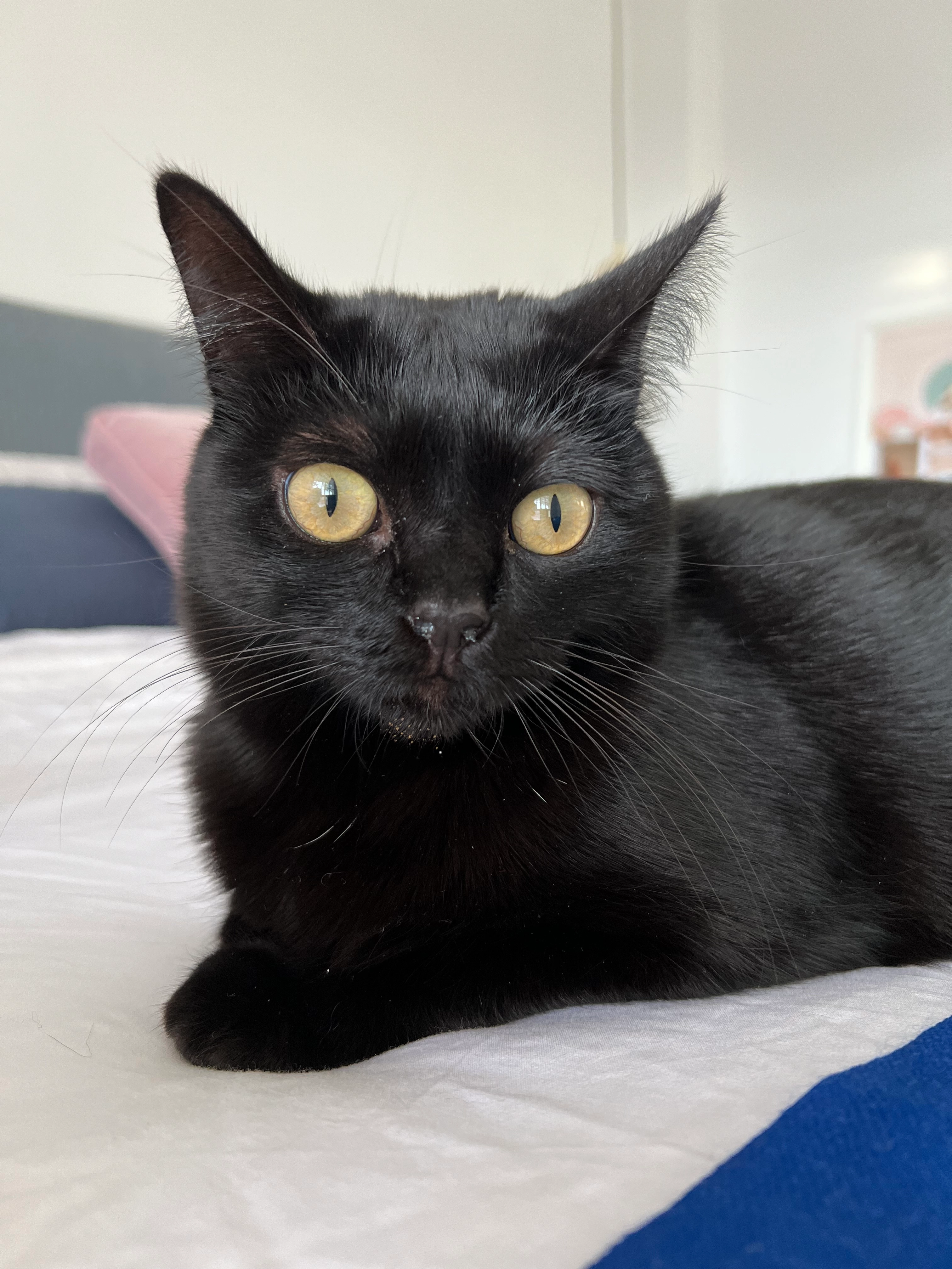 Mismis - Calle de las Monjas, L'Eliana