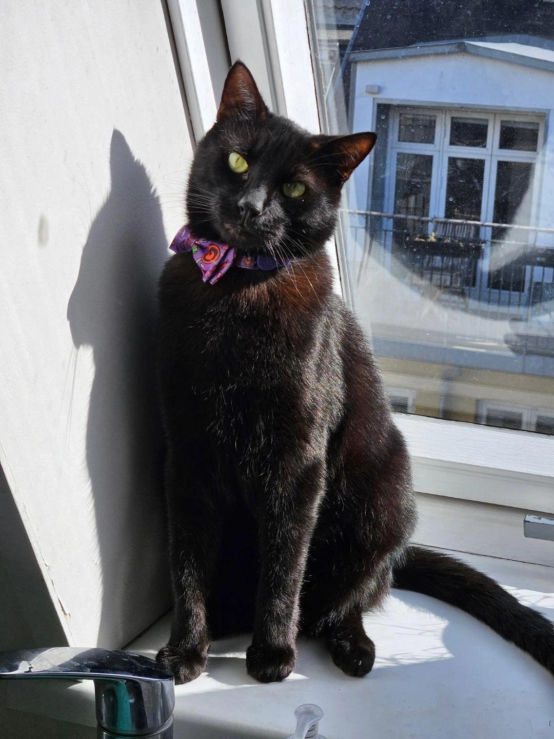 Merry - Gladsaxevej, Søborg