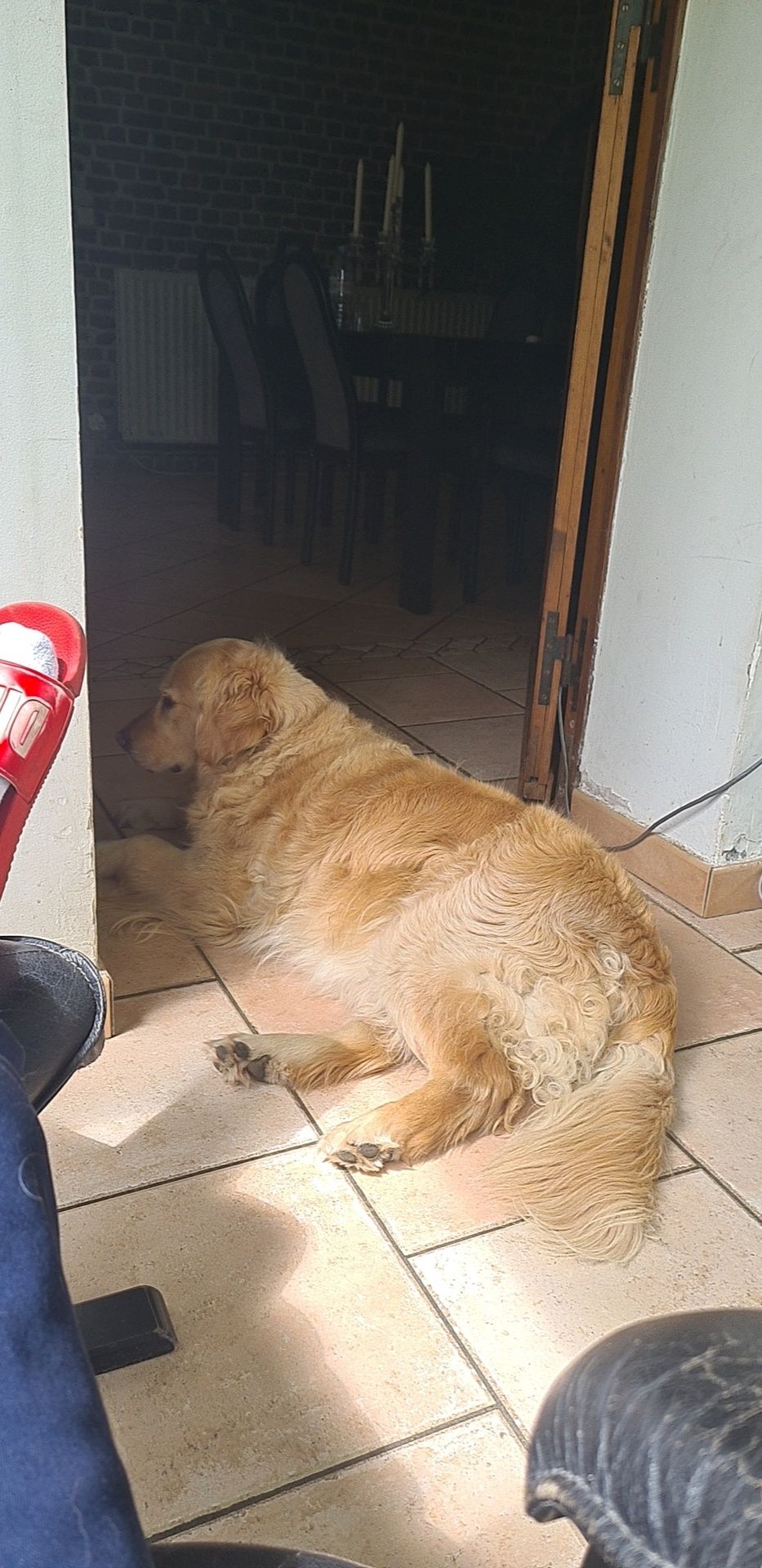 Laydie  - Rue Verte, Frelinghien