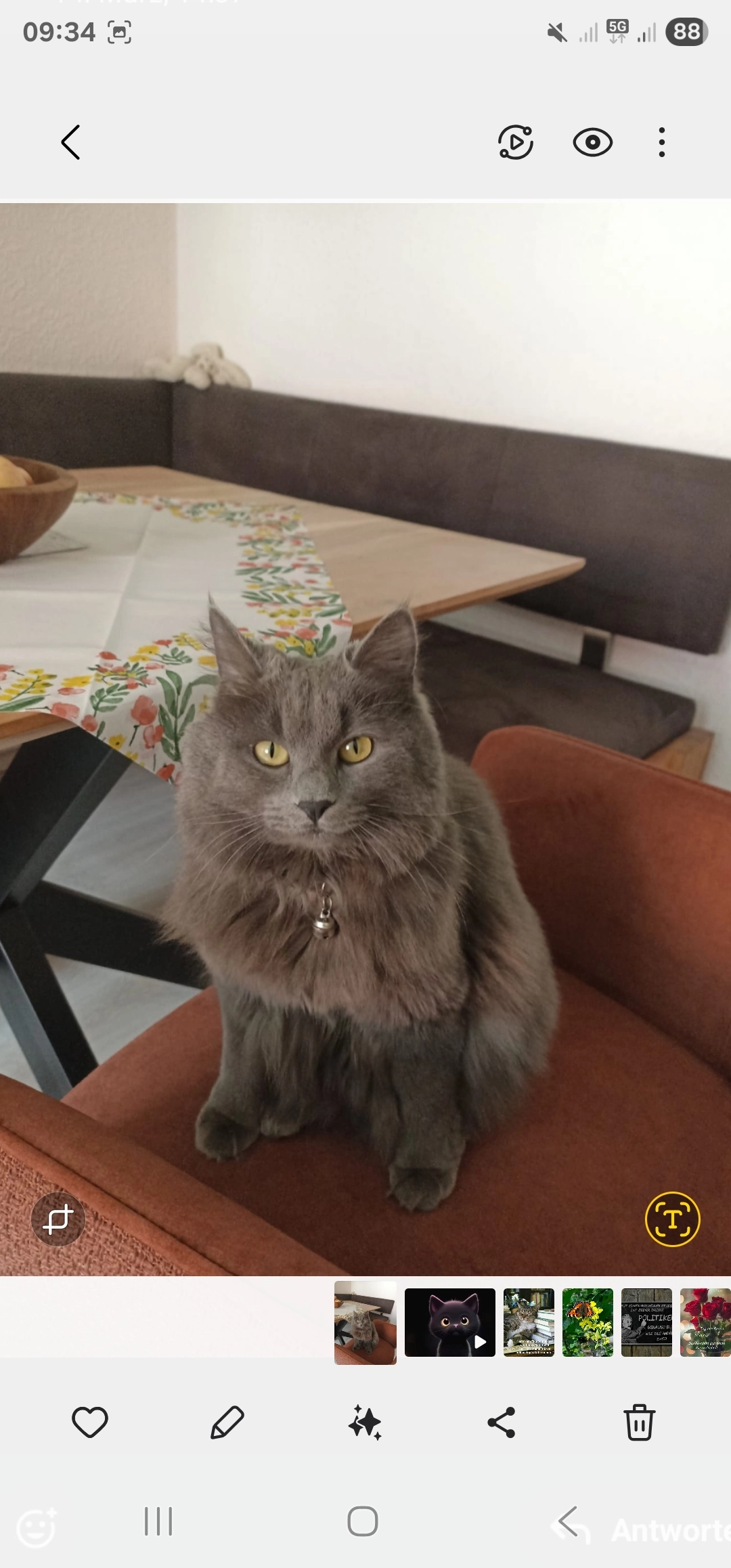 Diva - Kurt-Huber-Straße, Ingolstadt