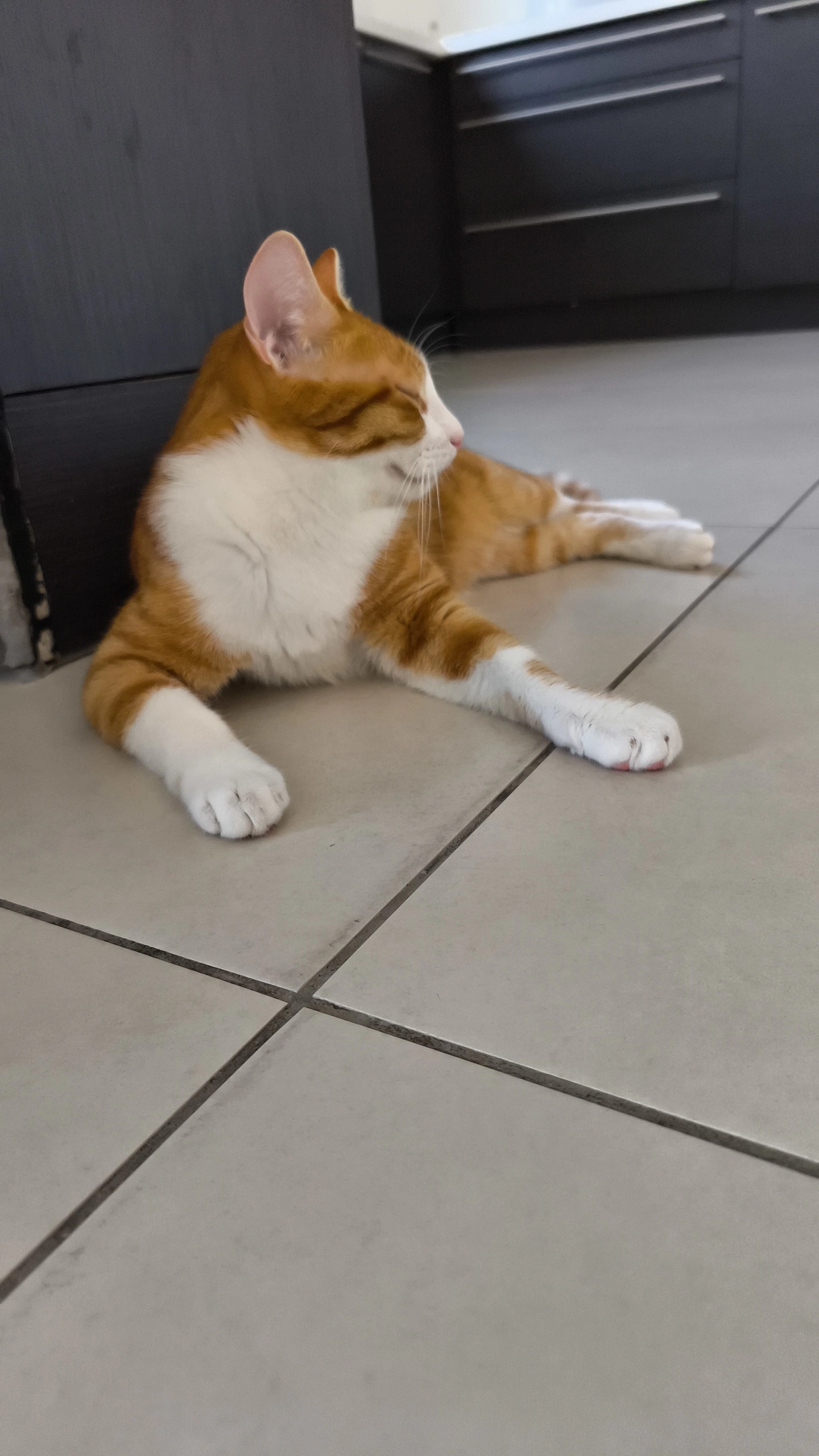 Vladim - Rue de la Forêt, Thanvillé