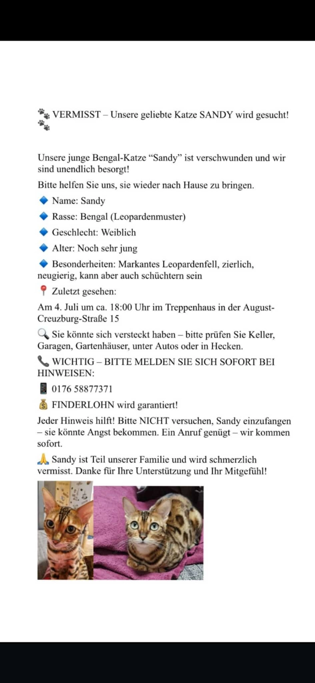 Sandy - August-Creutzburg-Straße, Gotha