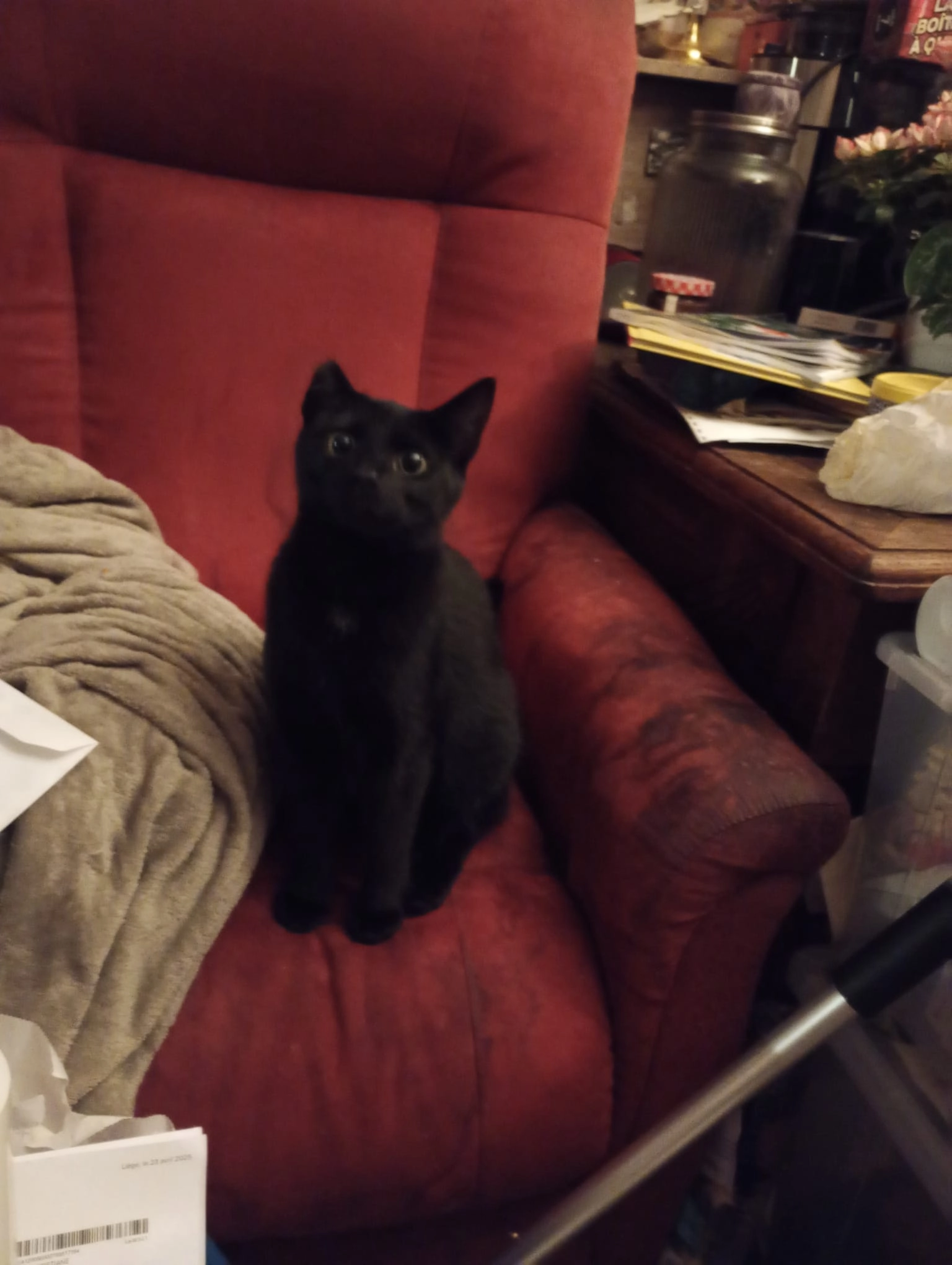 Mélicat - Rue des Déportés, Verviers