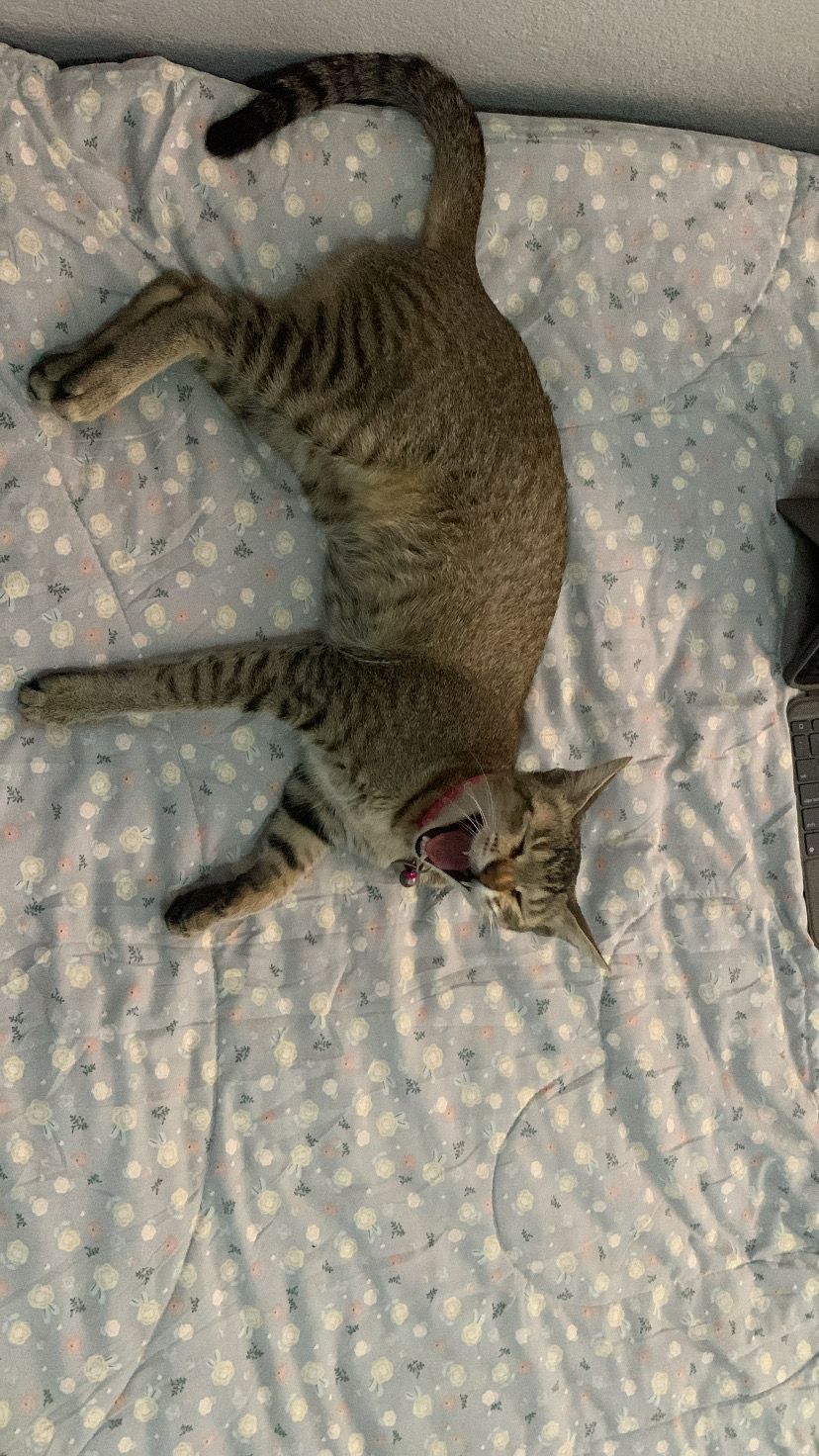 Kimchi - Laligurans Chok, Kathmandu