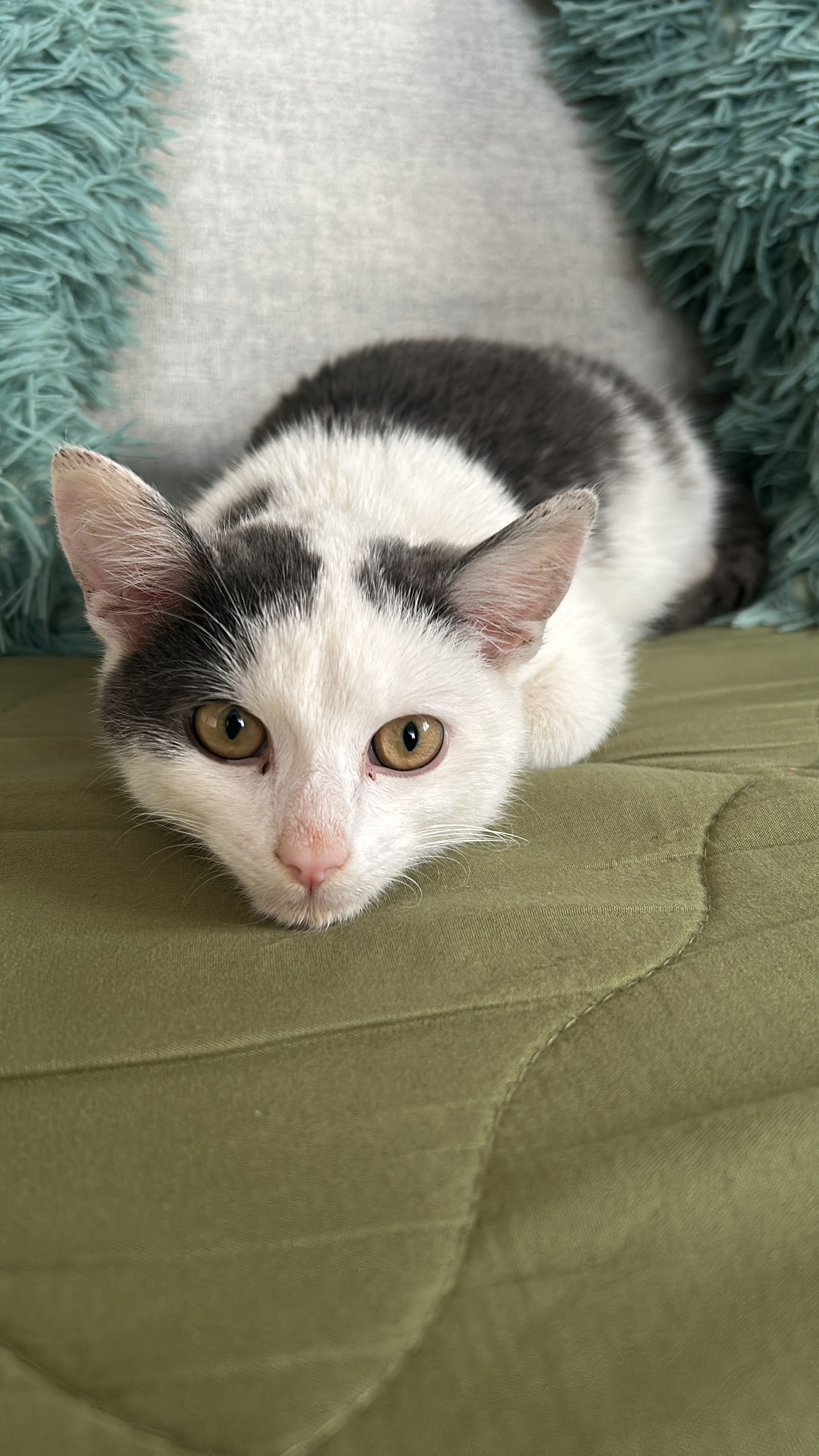 Marley - Max-Liebermann-Straße, Aalen