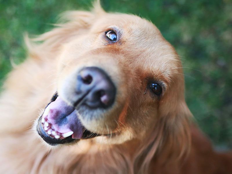 Melvin  - Hoornderweg, Noord-Holland