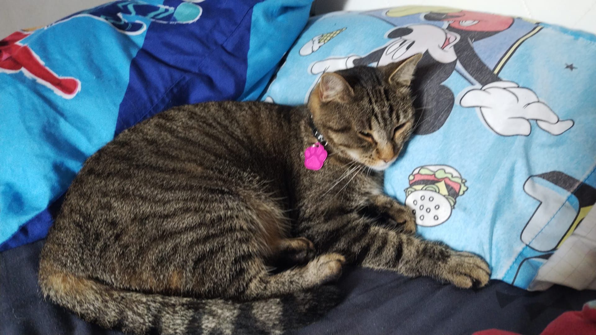 Mimie - Avenue Jean Baptiste Greuze, Dijon