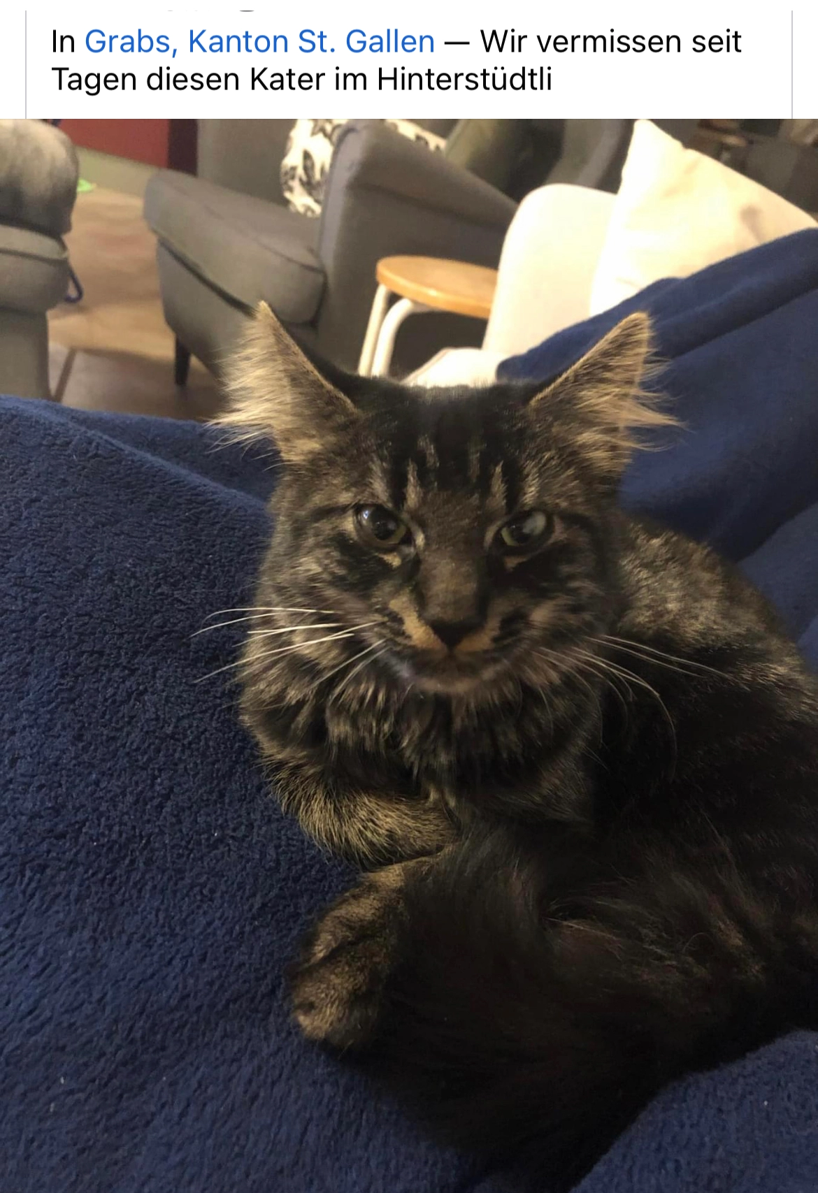 floki - Hintere Stütlistrasse, Grabs