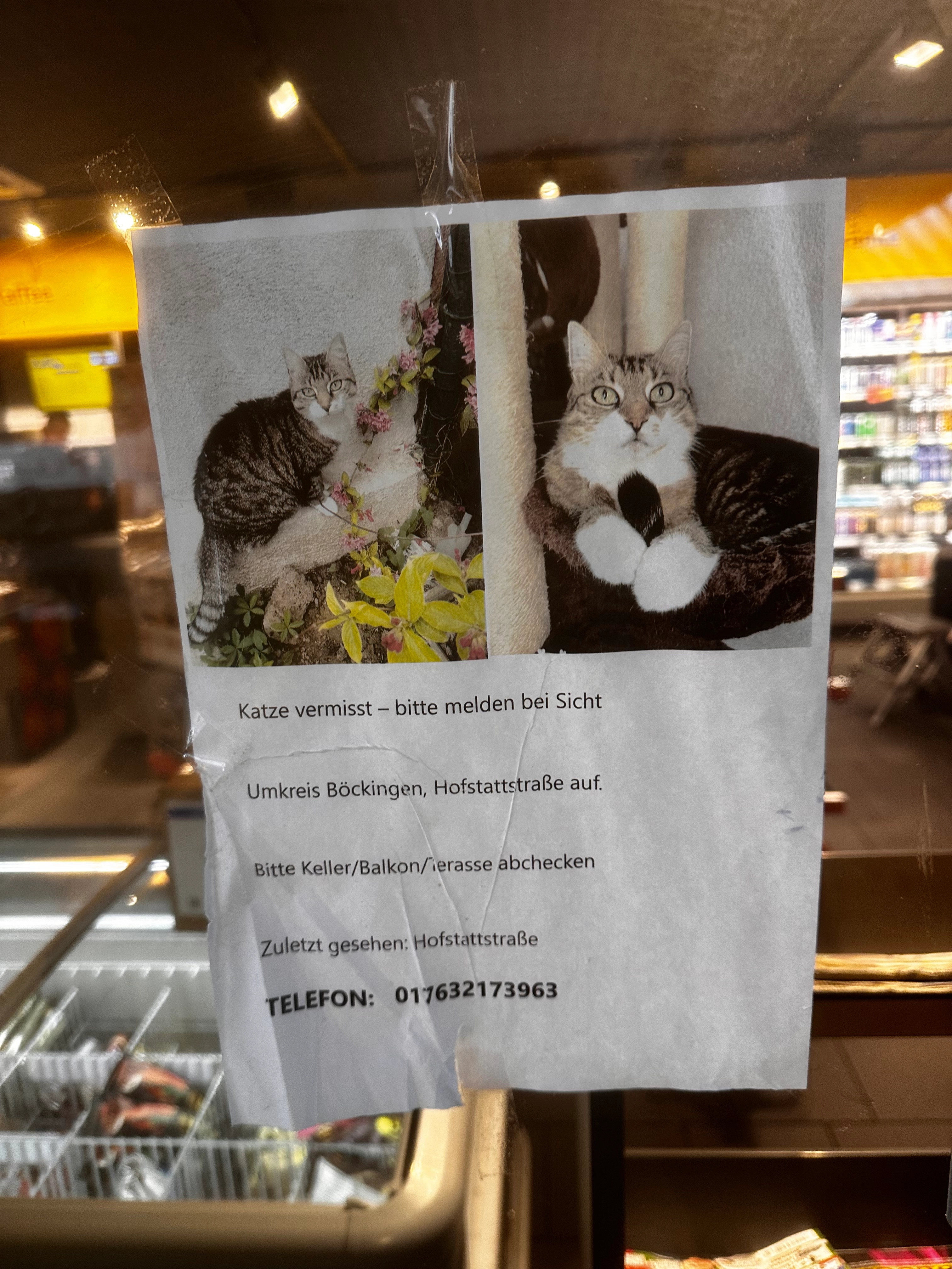 Timmy - Hofstattstraße, Heilbronn