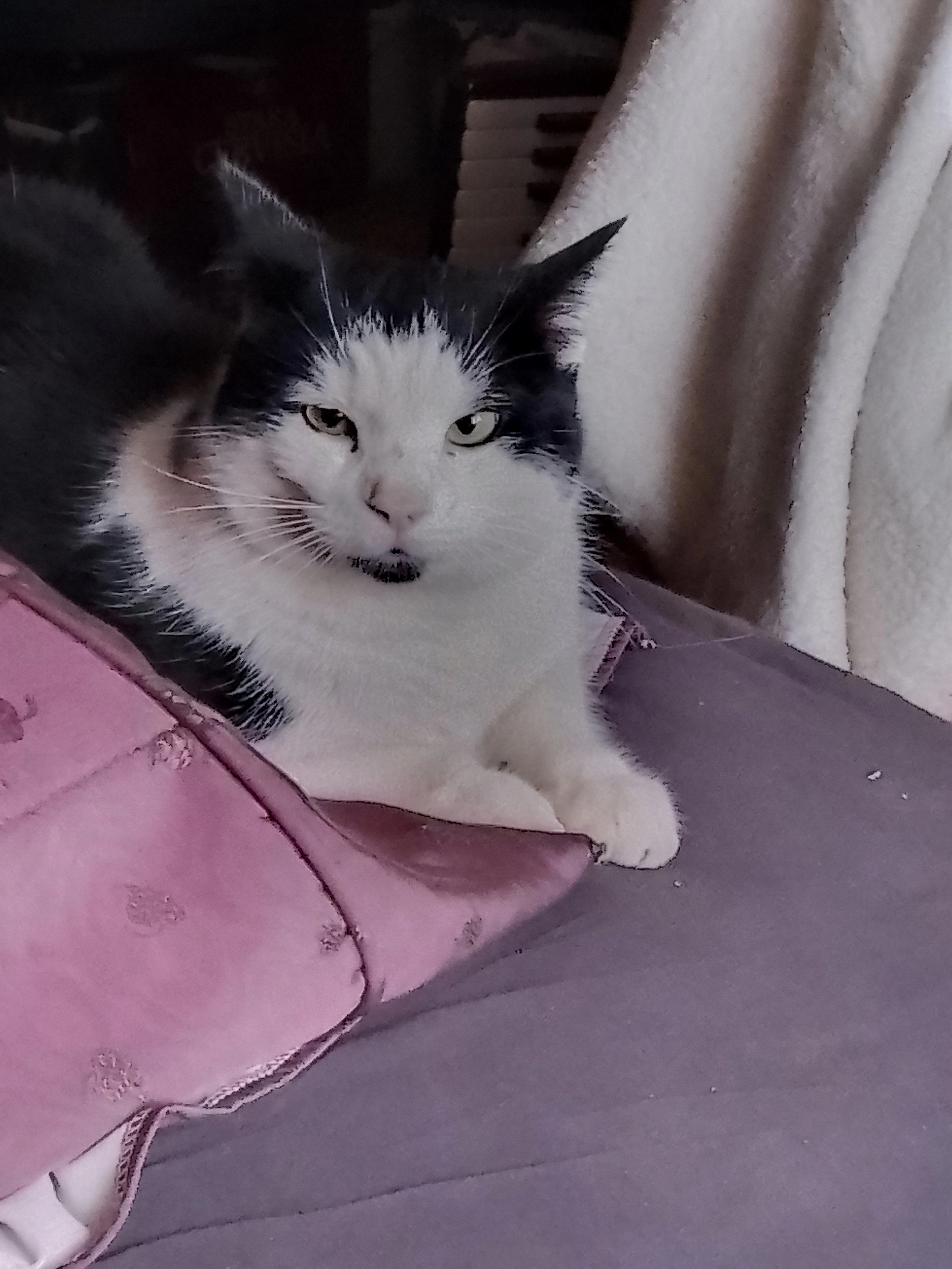 Mäxchen  - Siedlungsstraße, Alt Zauche-Wußwerk