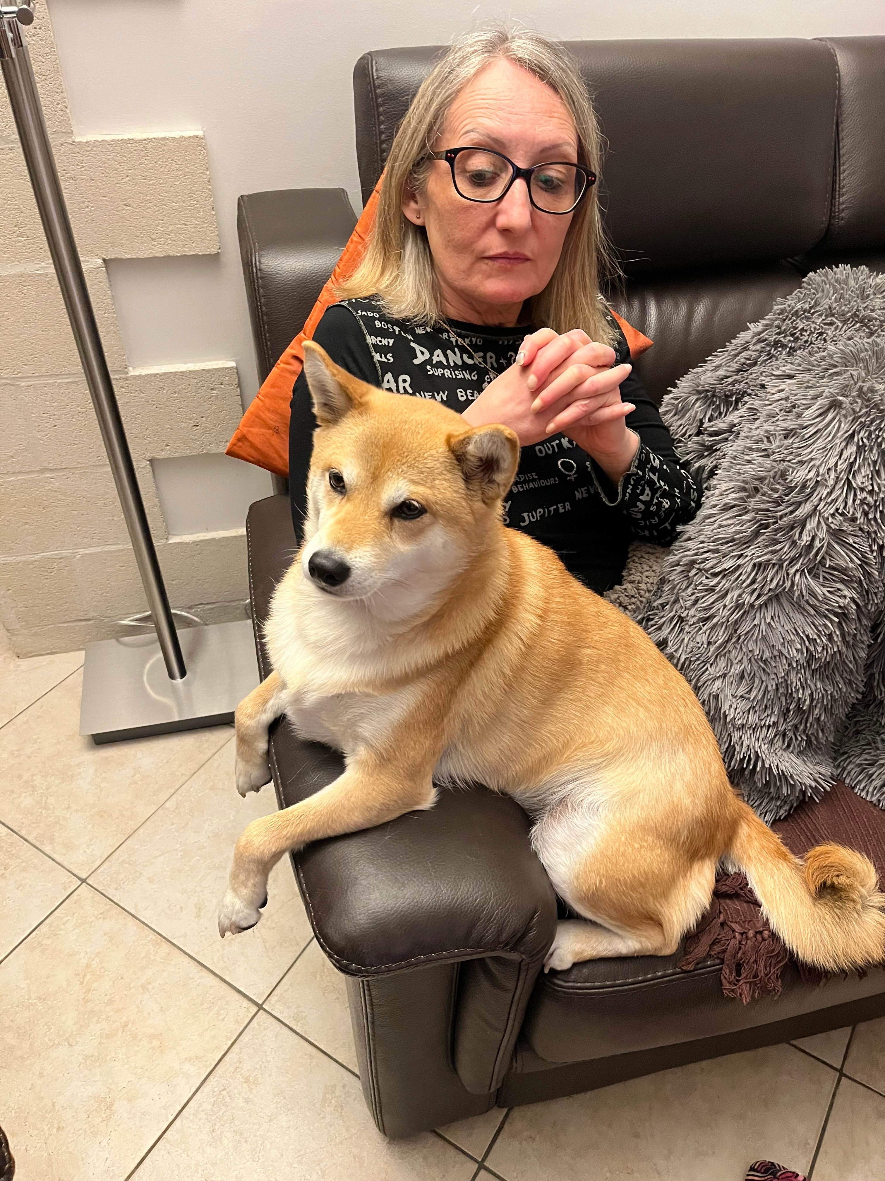 Plume - Tréveneuc, Plestan