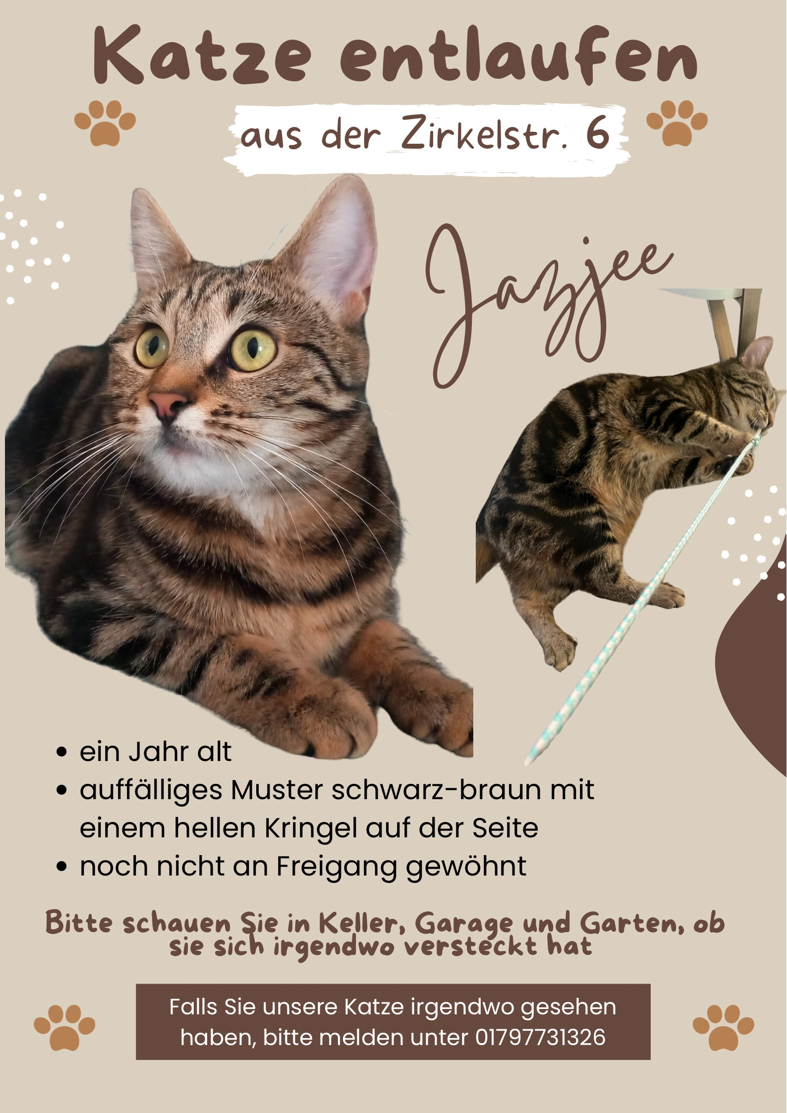 Jatzyee - Zirkelstraße 6, Kehl