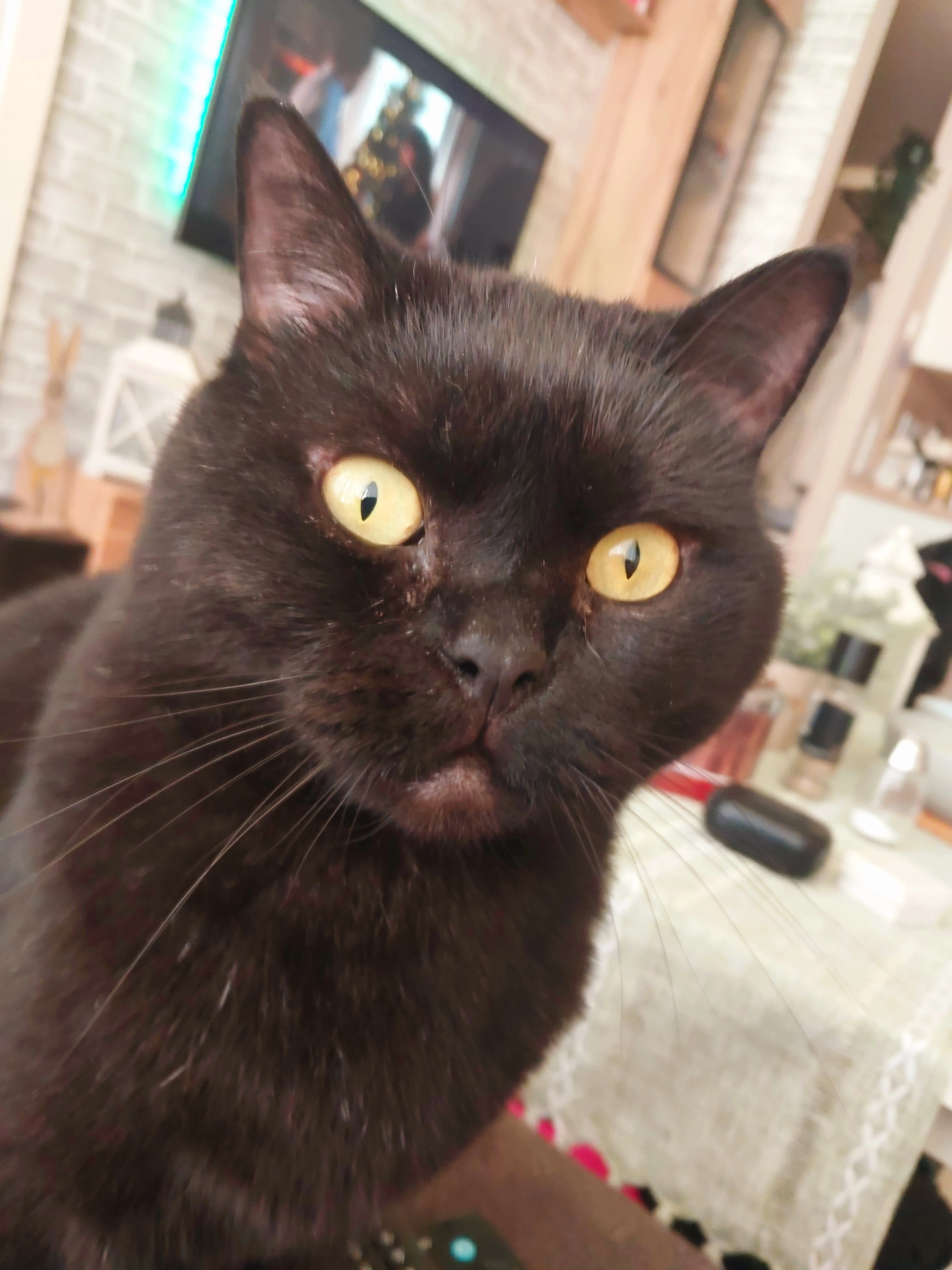 Juno - Himberger Straße, Wien