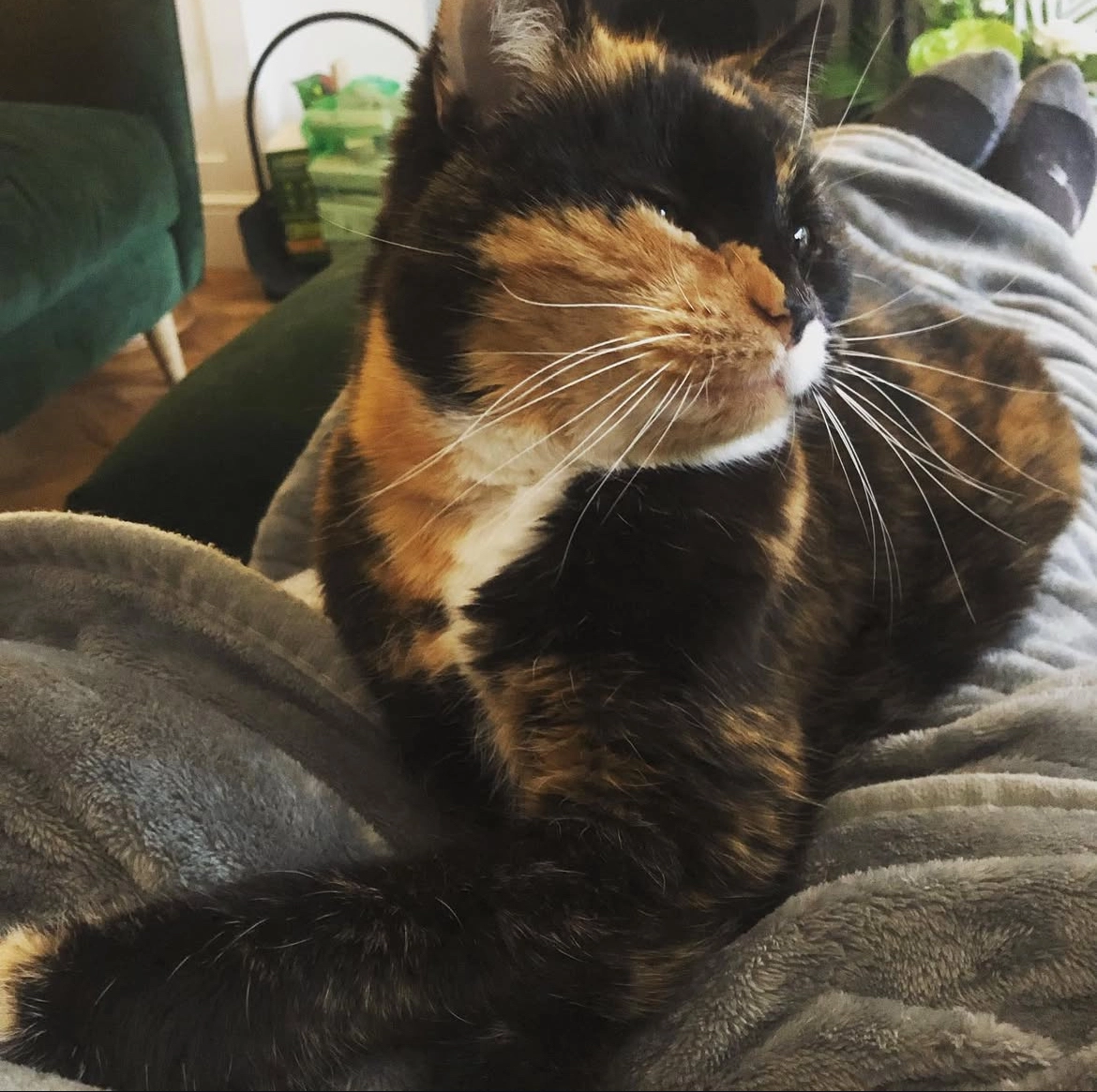 MARLEY - SK8 5, Cheadle