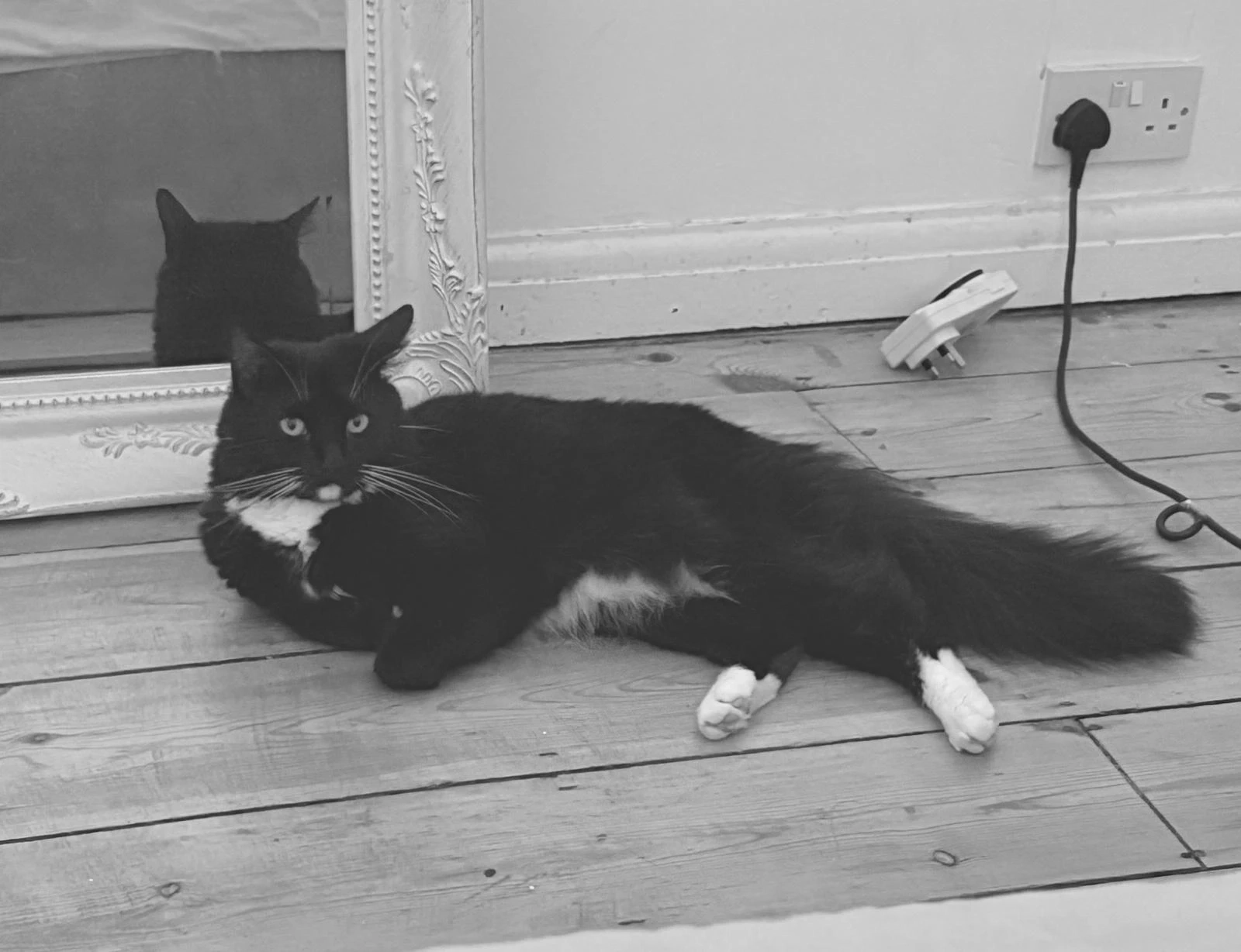 Beppe - Sherwood Road, Gosport